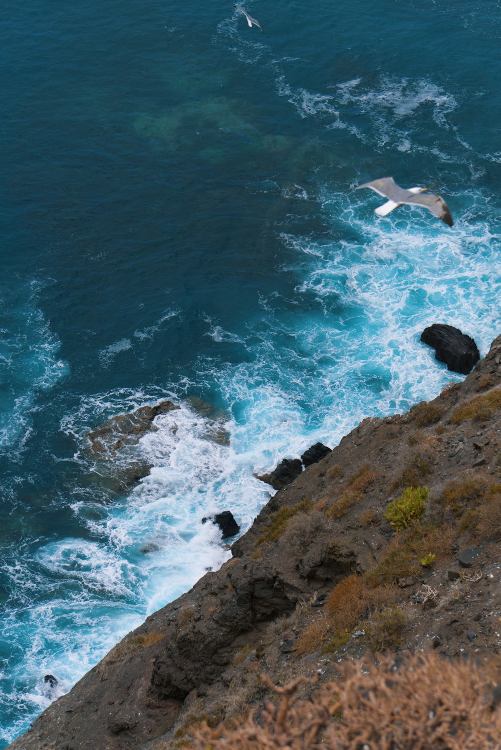 a bird flying over a rocky cliff next to the ocean