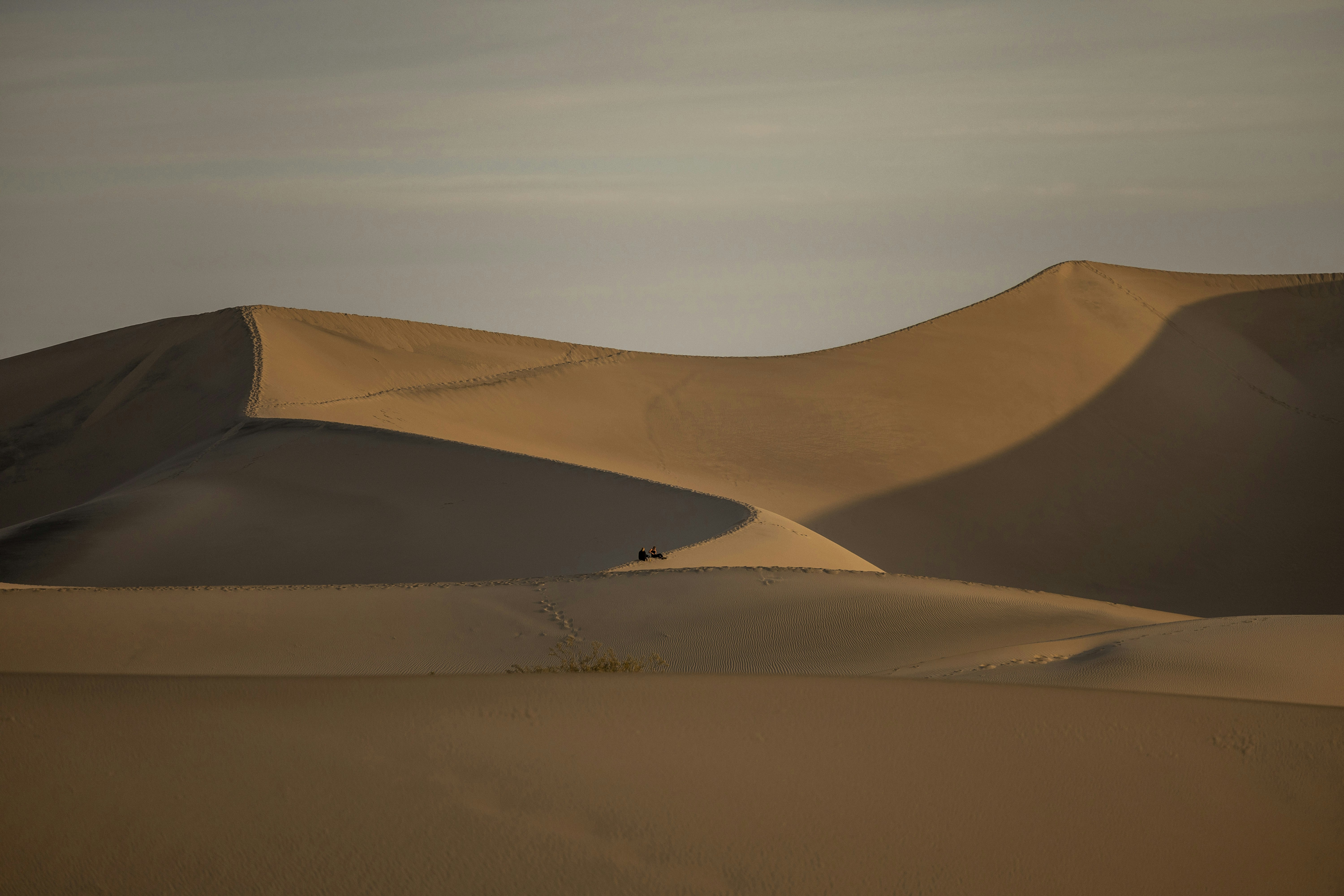 Photo by leo_visions_