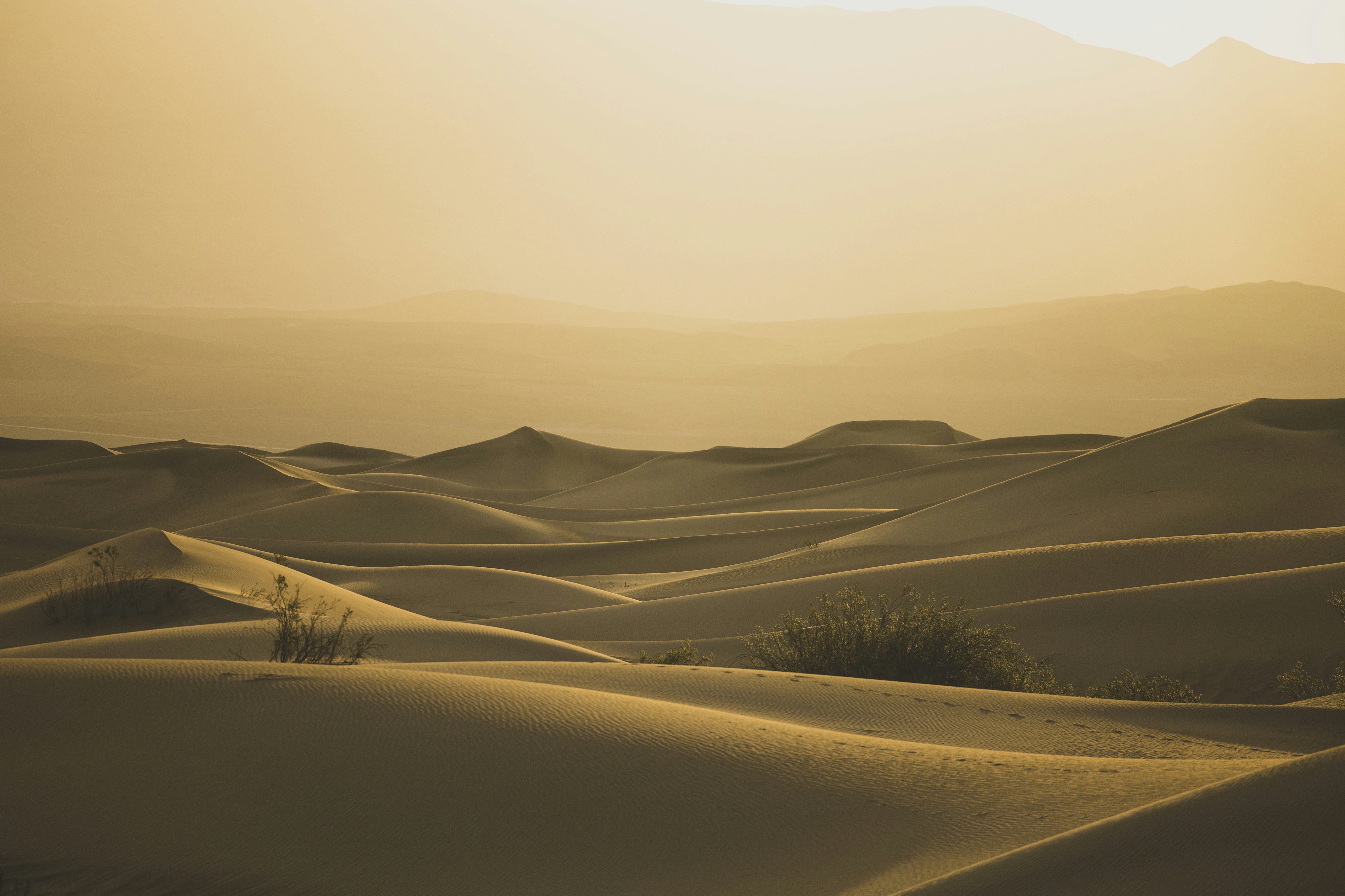 Photo by leo_visions_