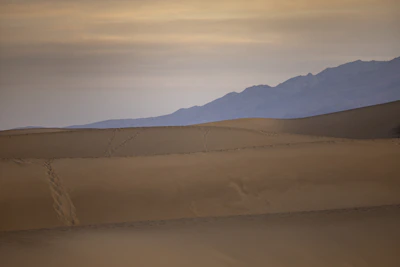 A serene Moroccan landscape at dusk, evoking the spirit behind dupaura scents.