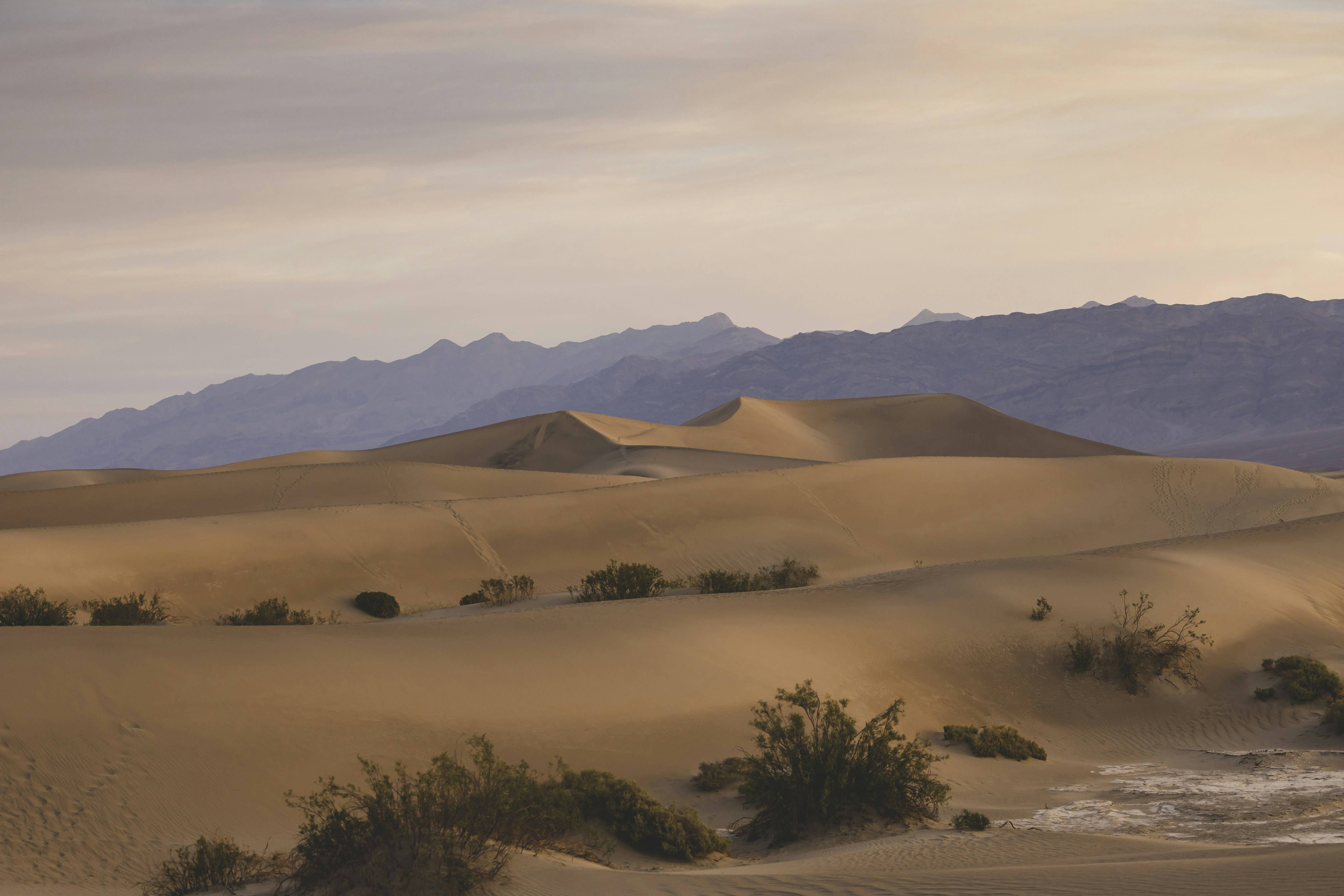 Photo by leo_visions_