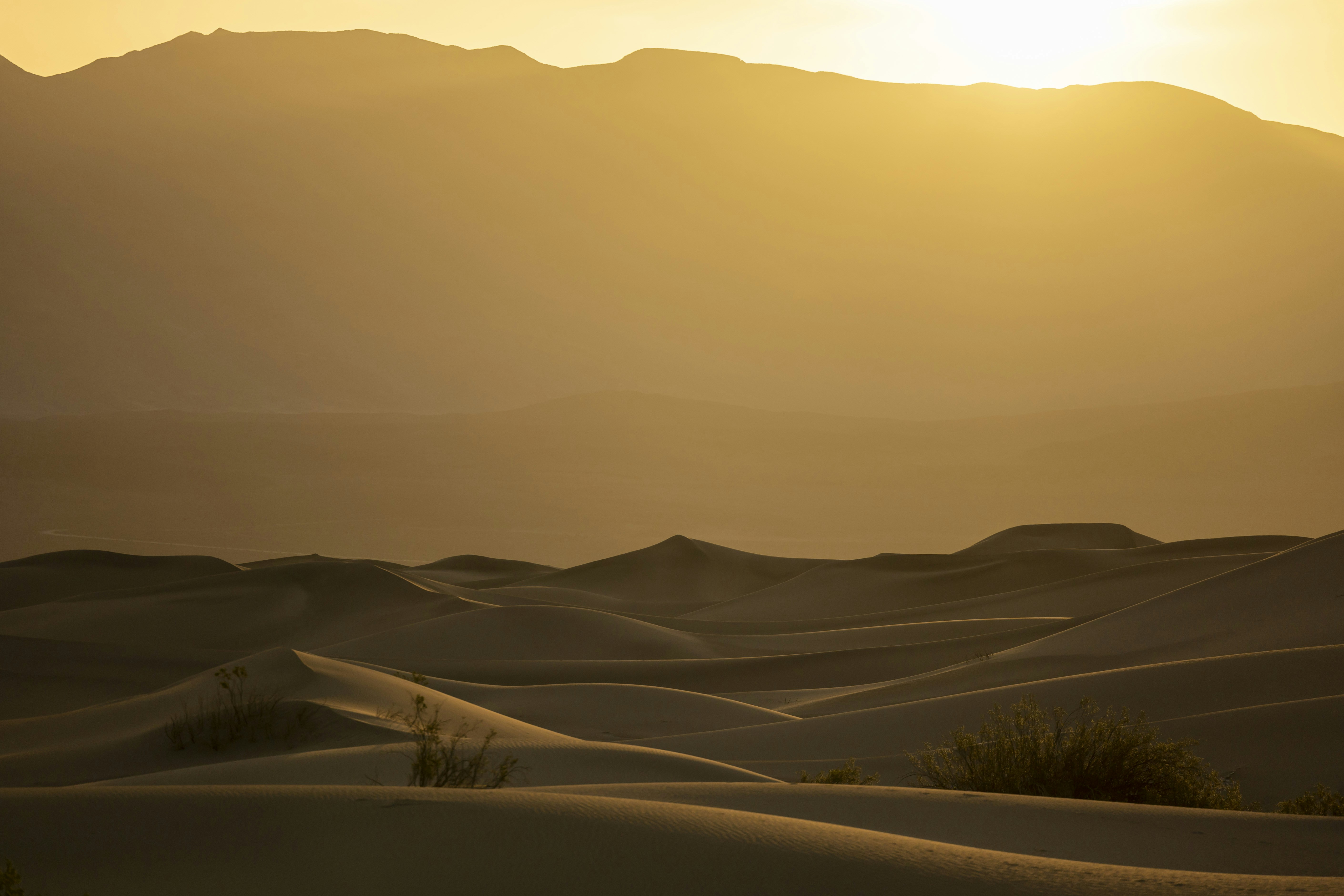 Photo by leo_visions_