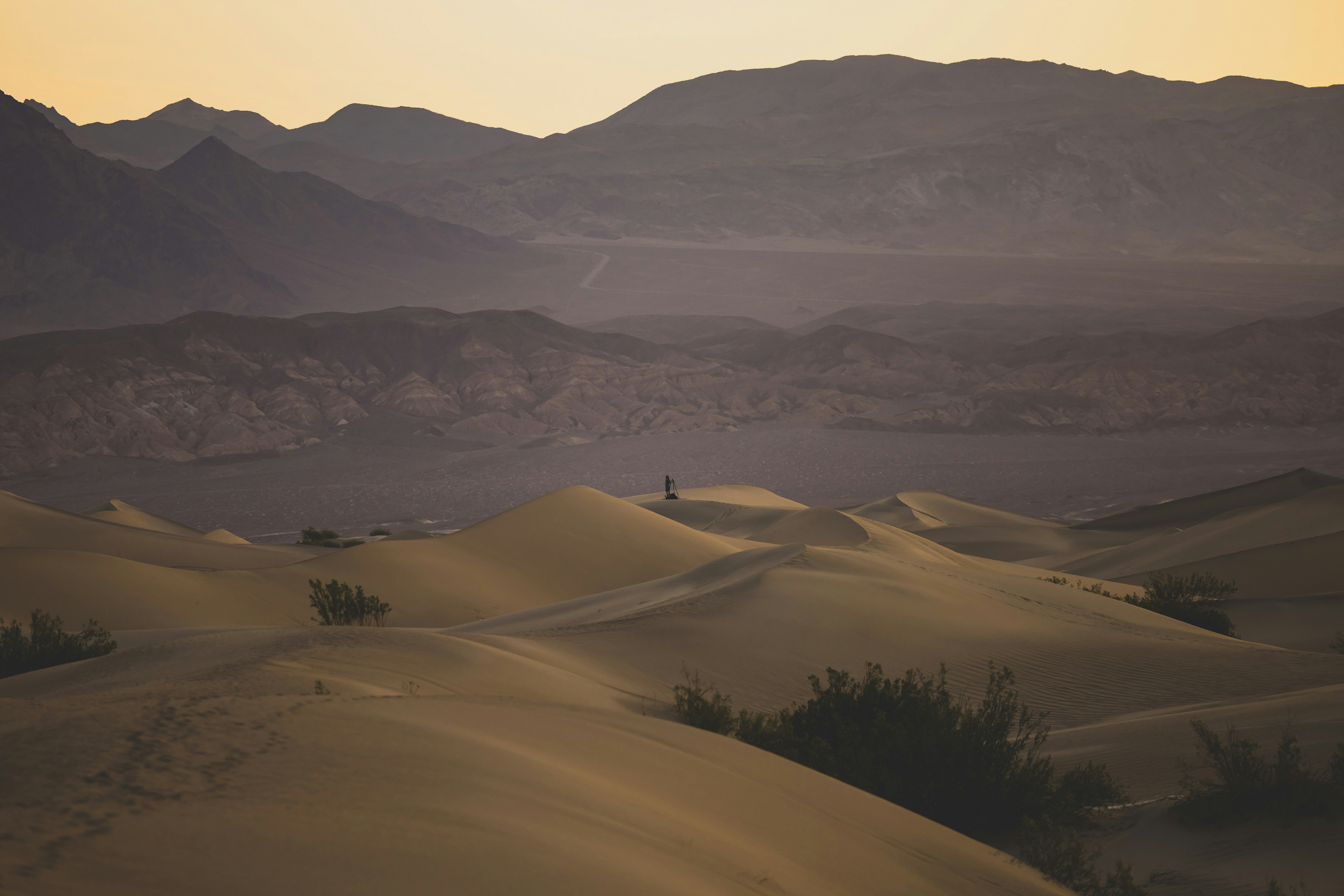 Photo by leo_visions_