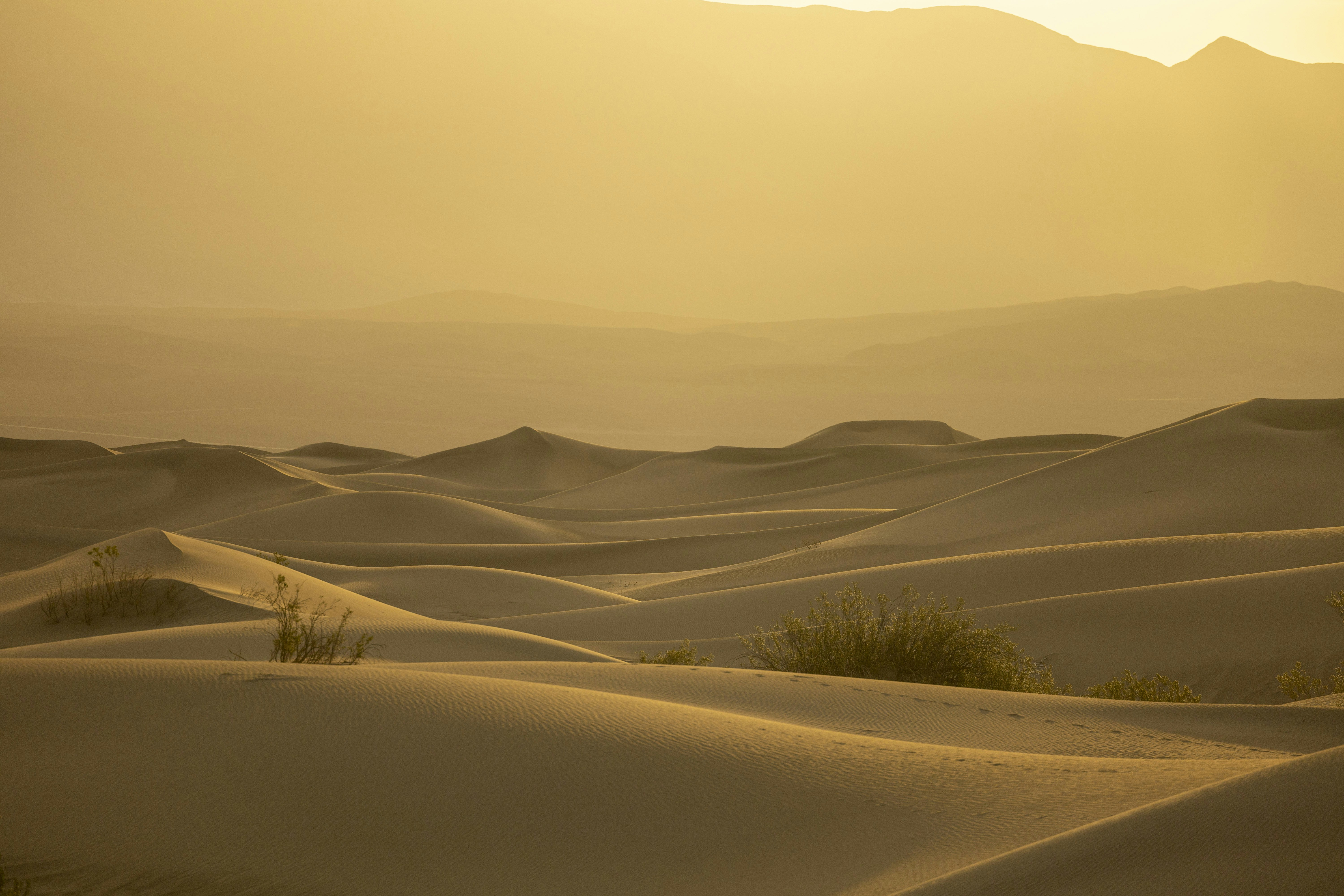 Photo by leo_visions_