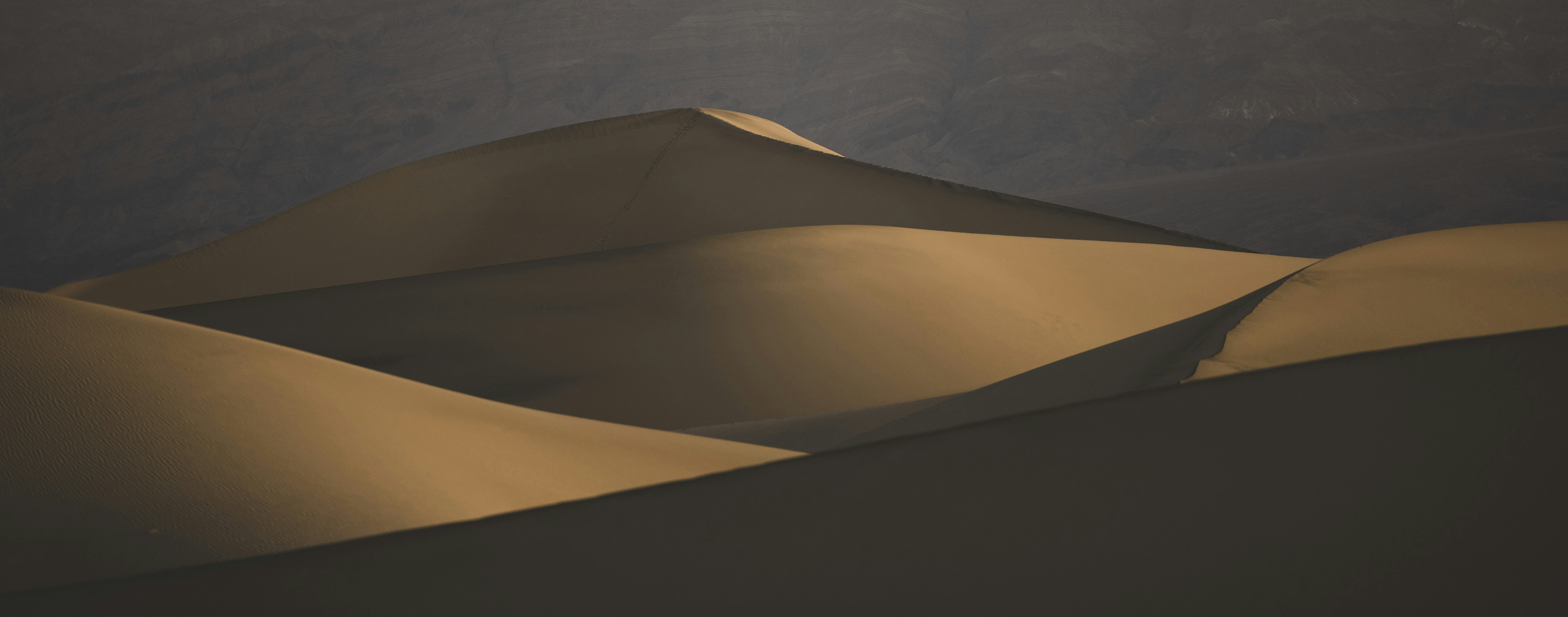 Photo by leo_visions_