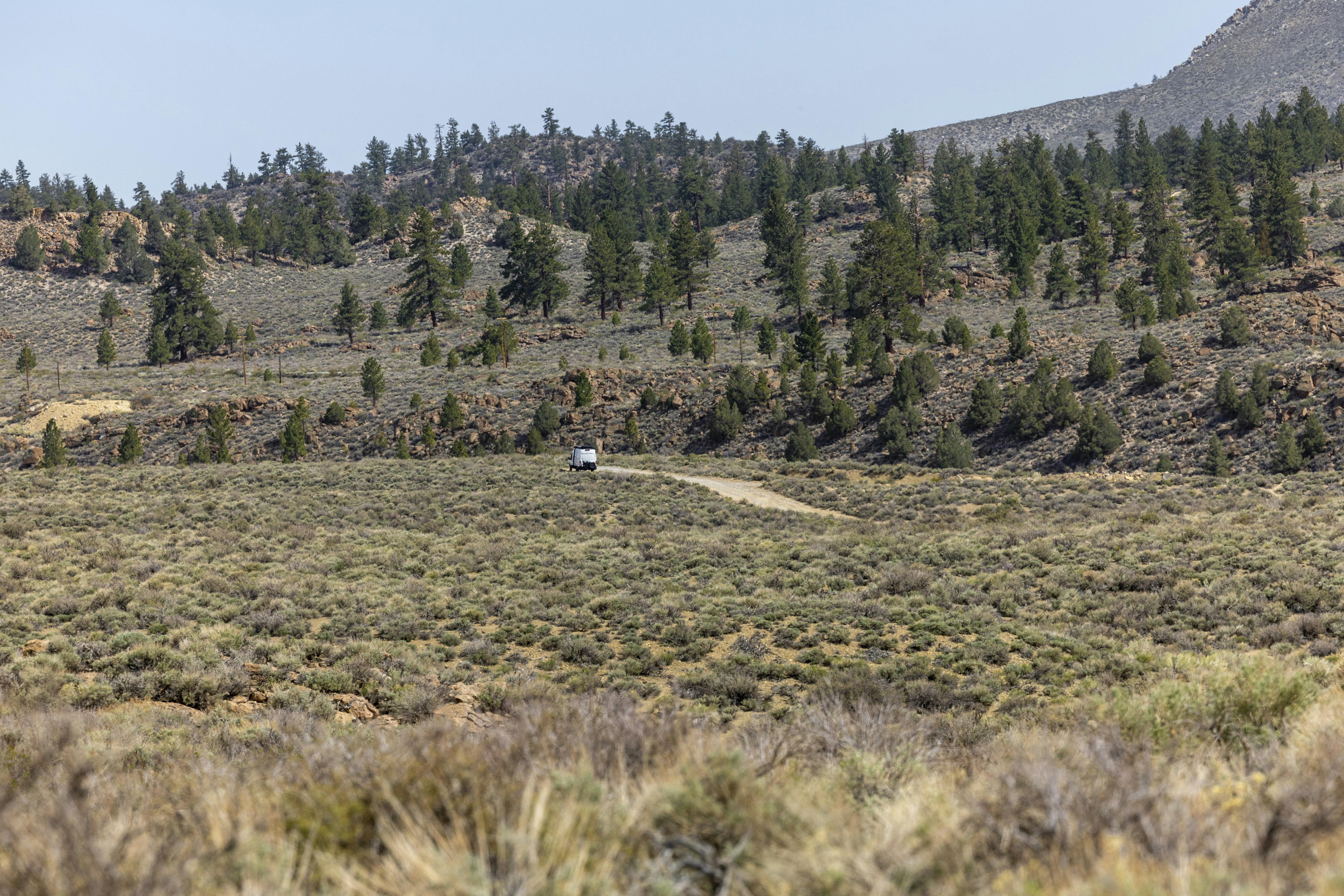 Photo by leo_visions_