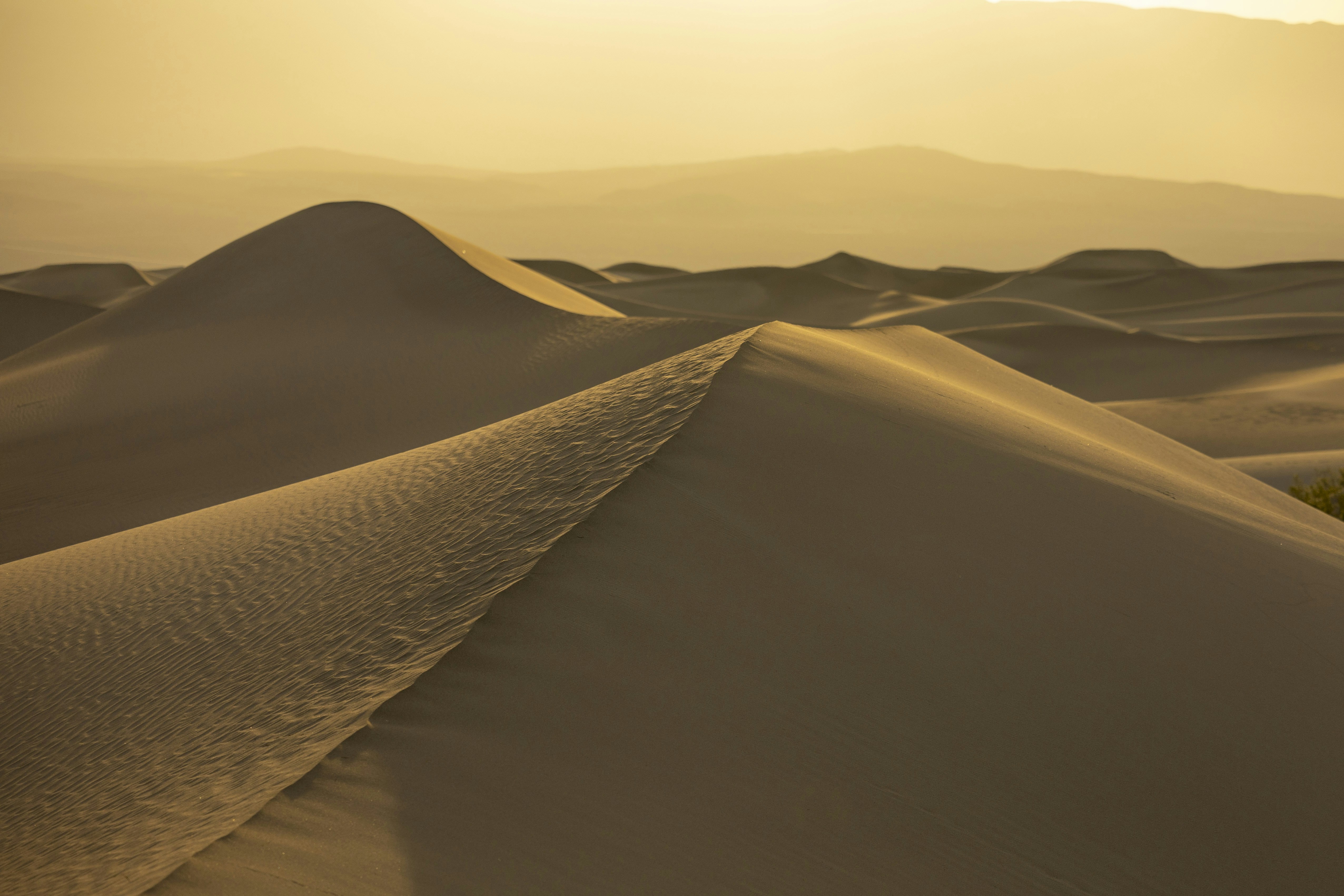 Photo by leo_visions_