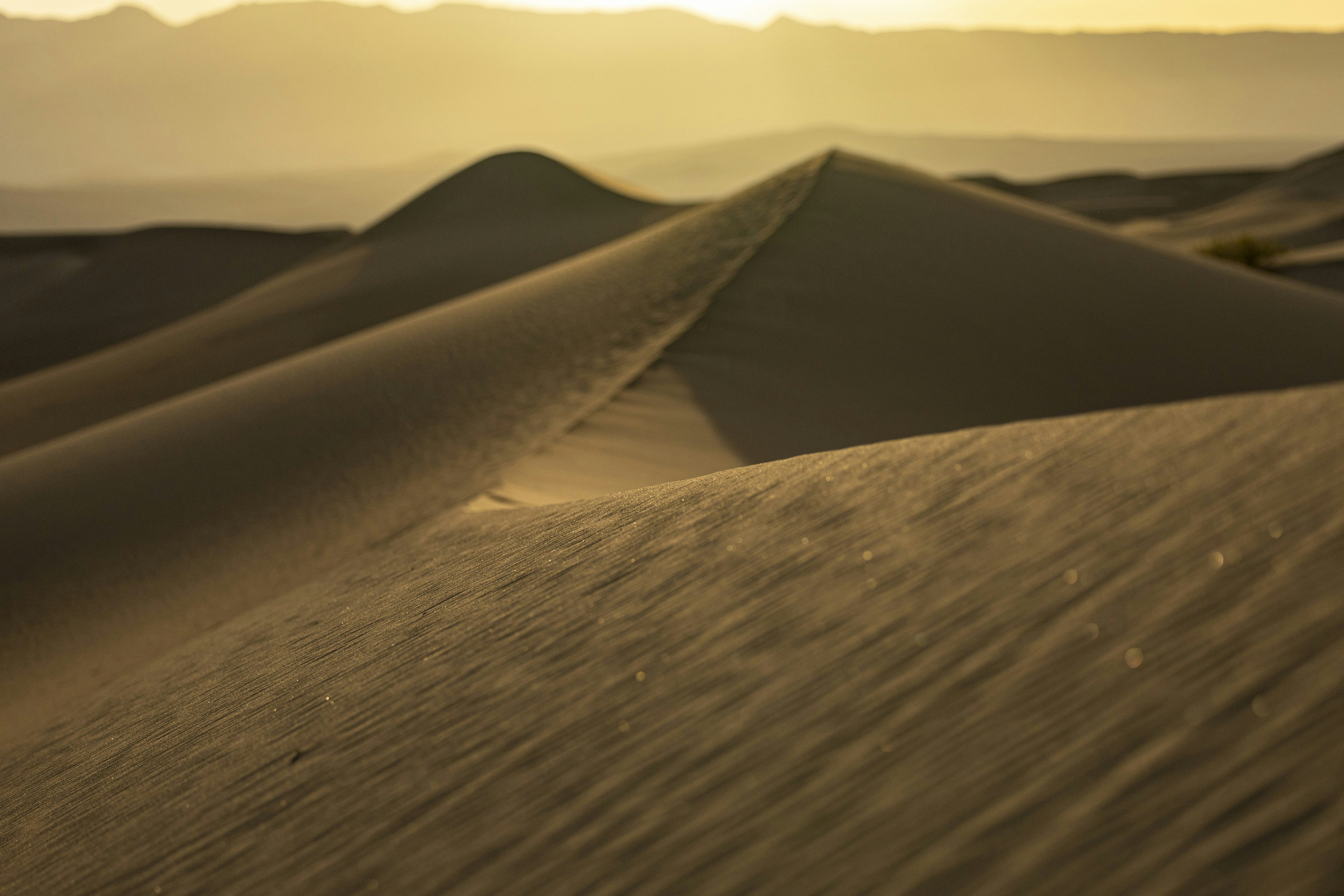 Photo by leo_visions_