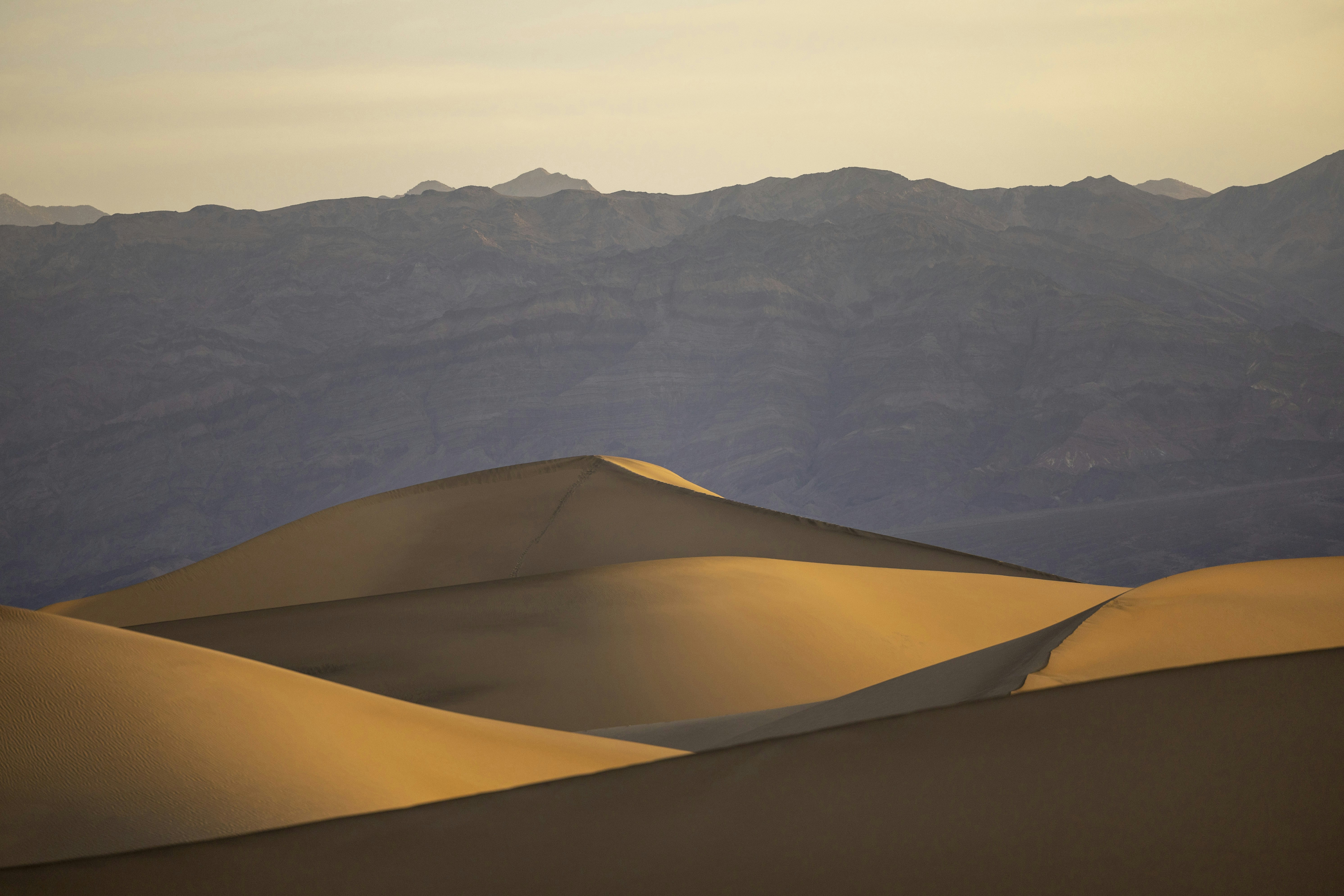 Photo by leo_visions_