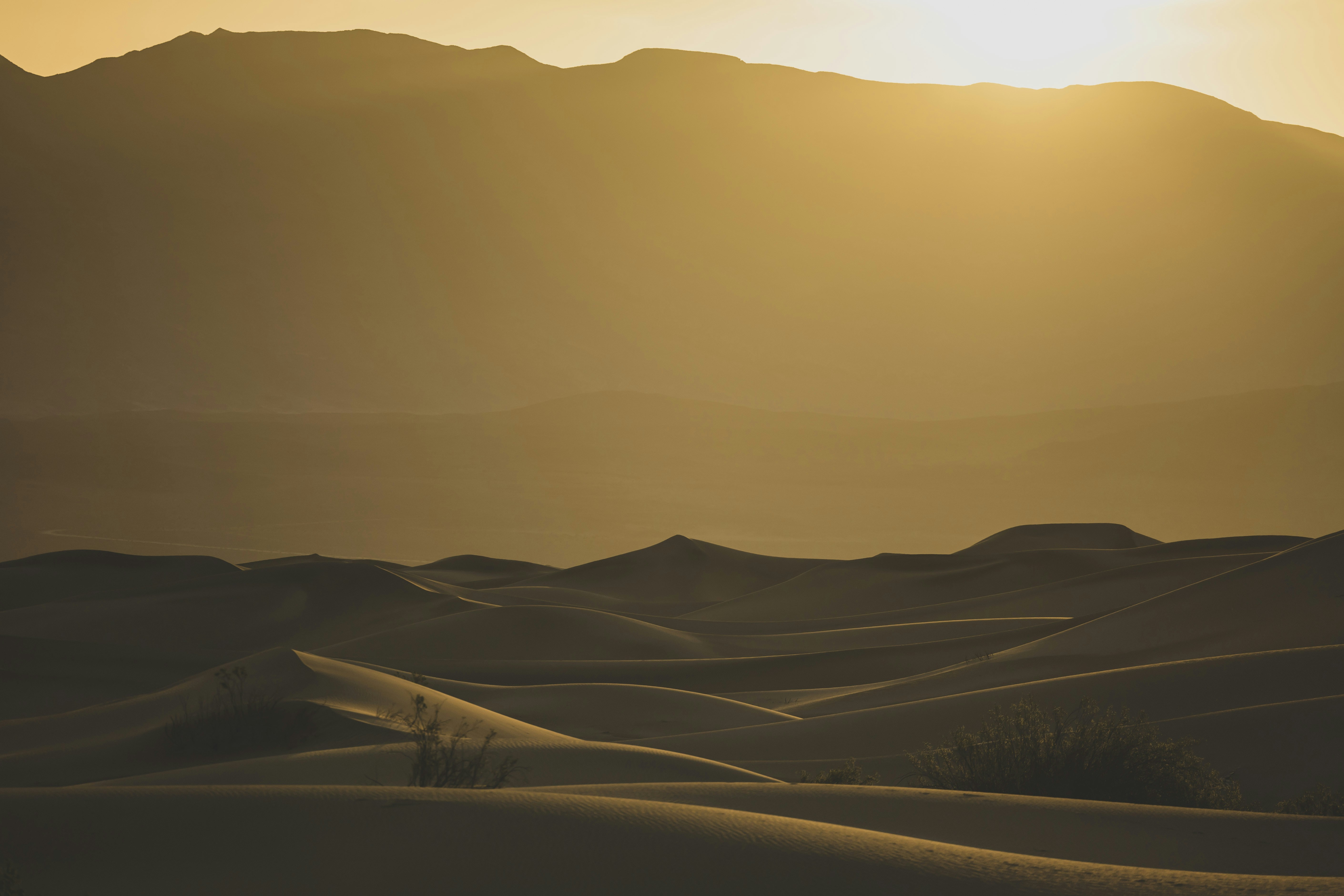 Photo by leo_visions_