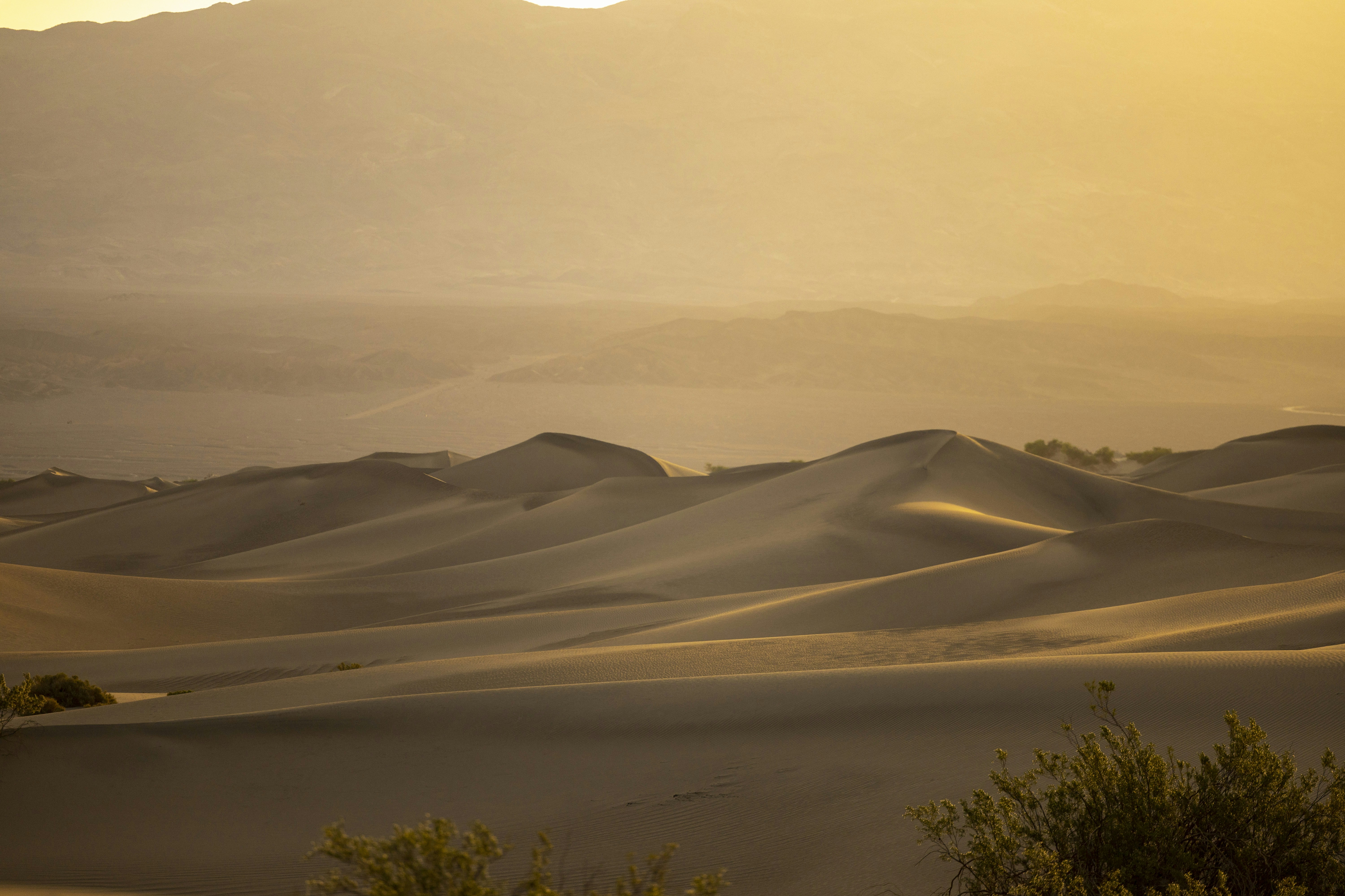 Photo by leo_visions_