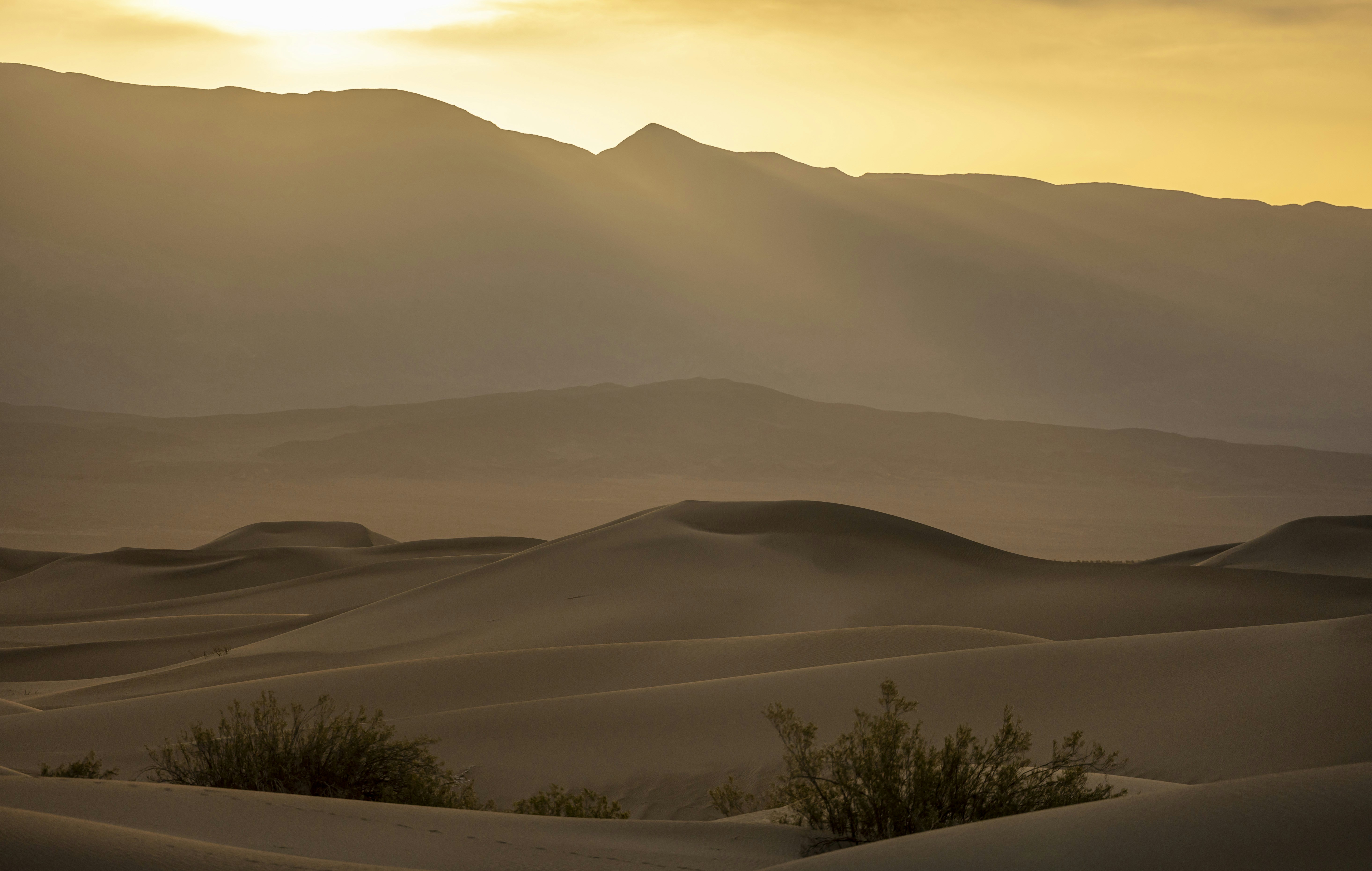 Photo by leo_visions_