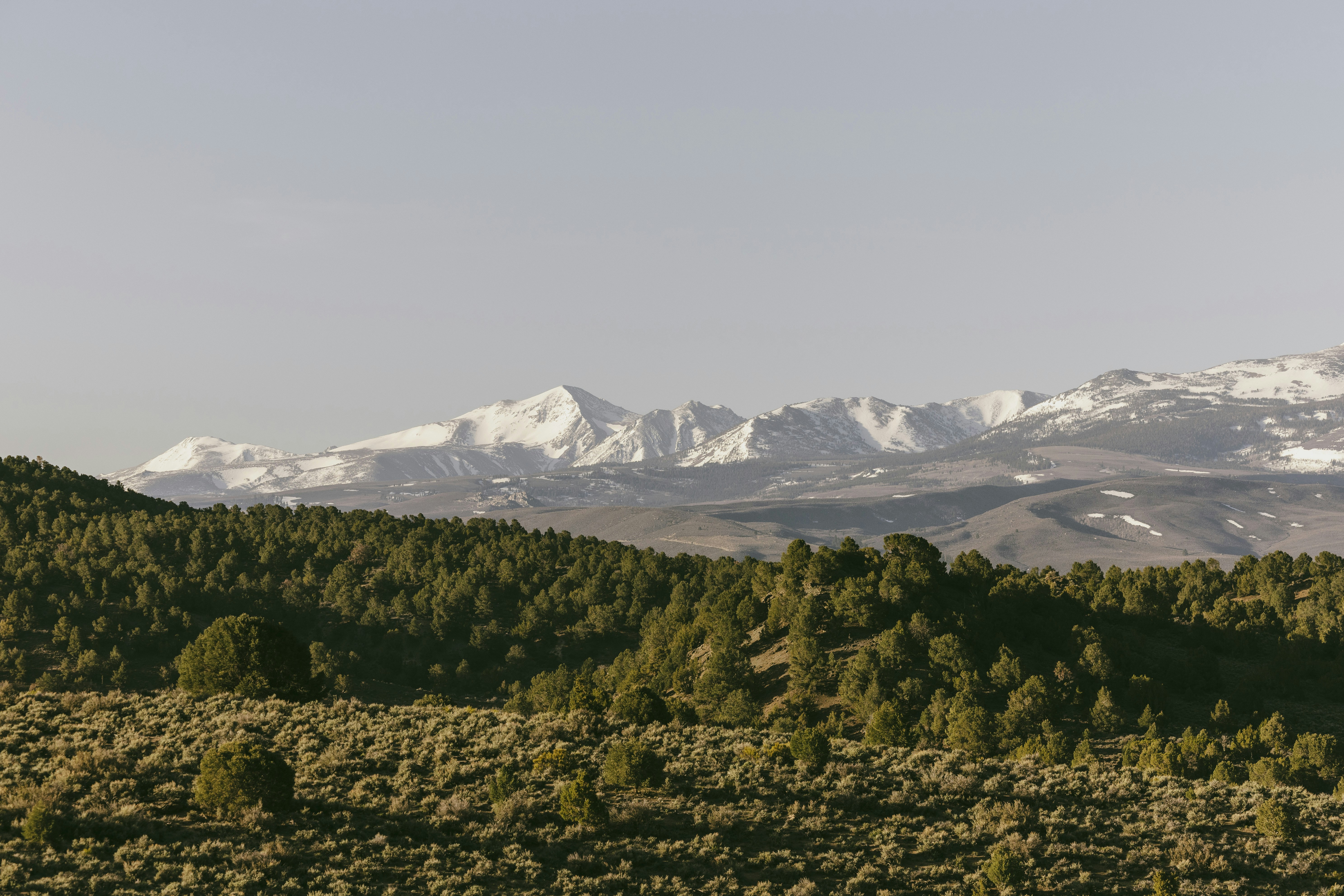 Photo by leo_visions_