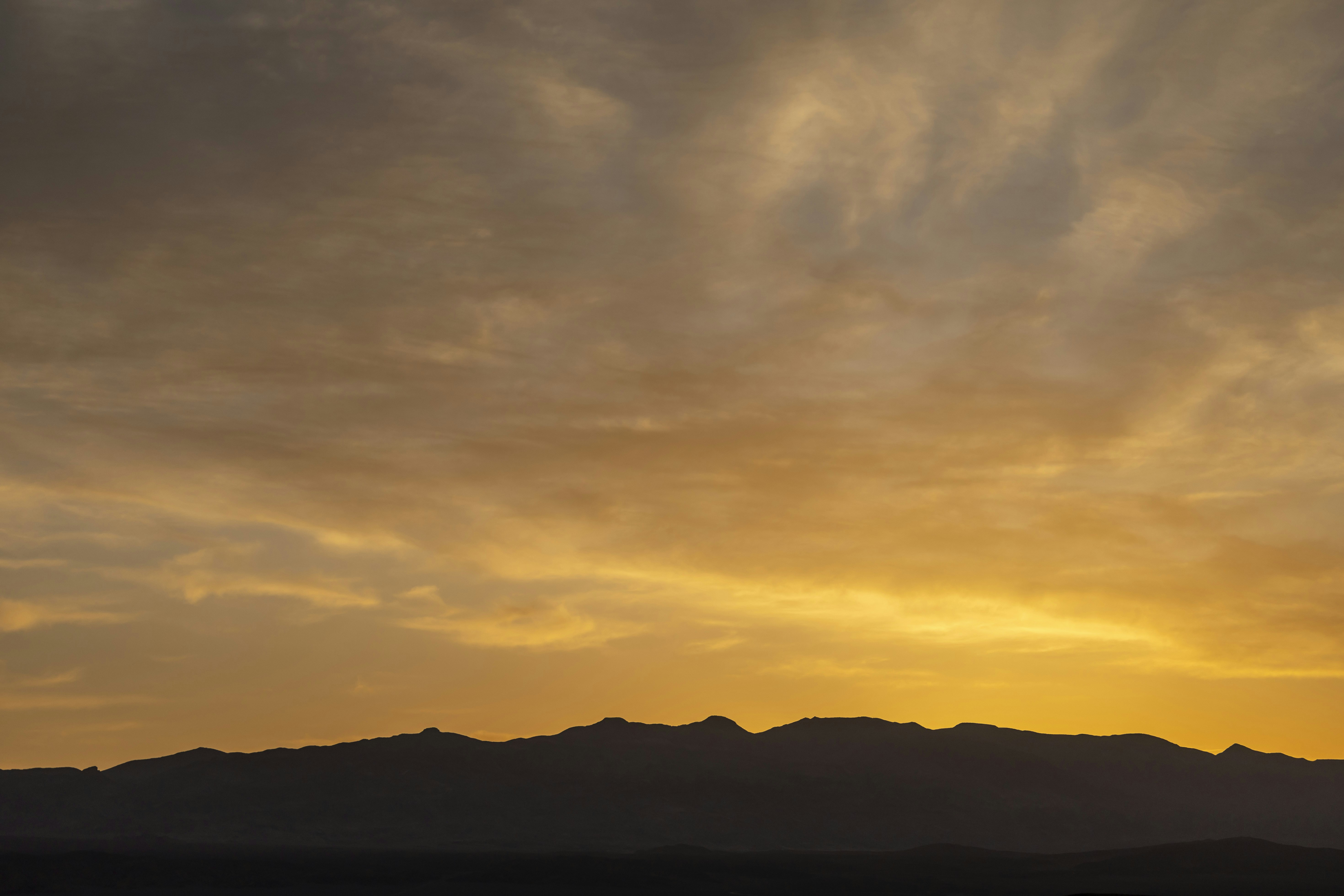 Photo by leo_visions_