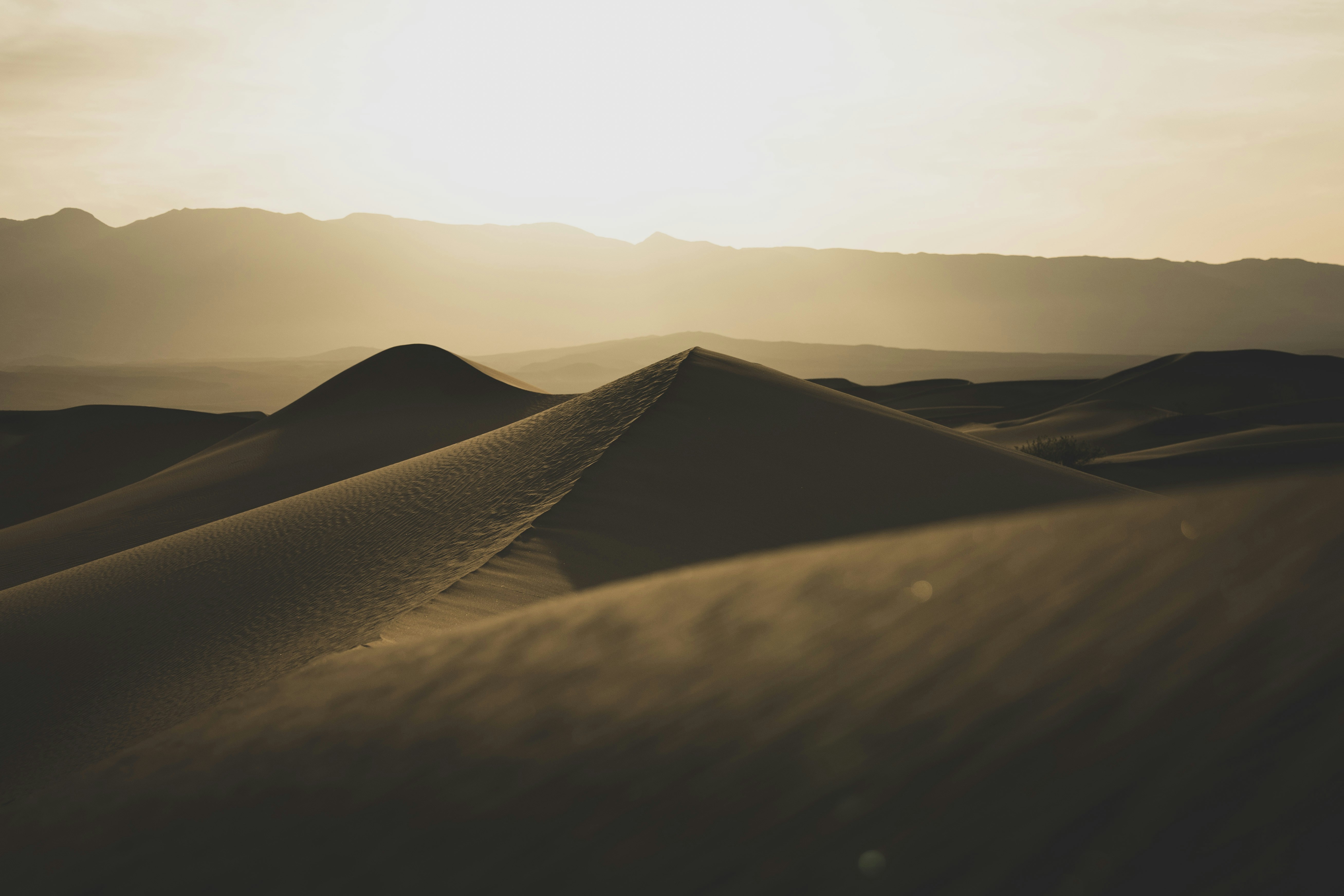 Photo by leo_visions_