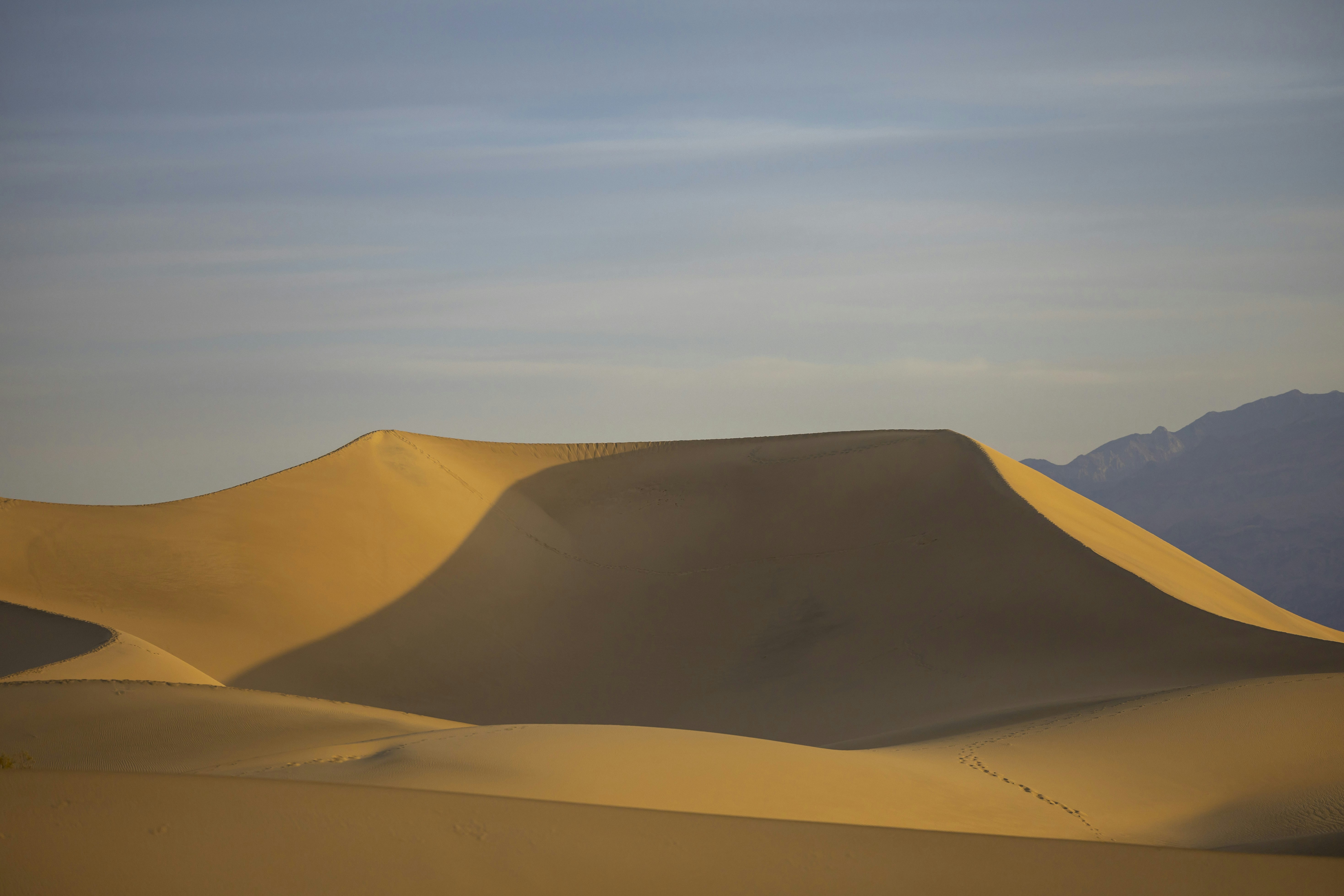 Photo by leo_visions_