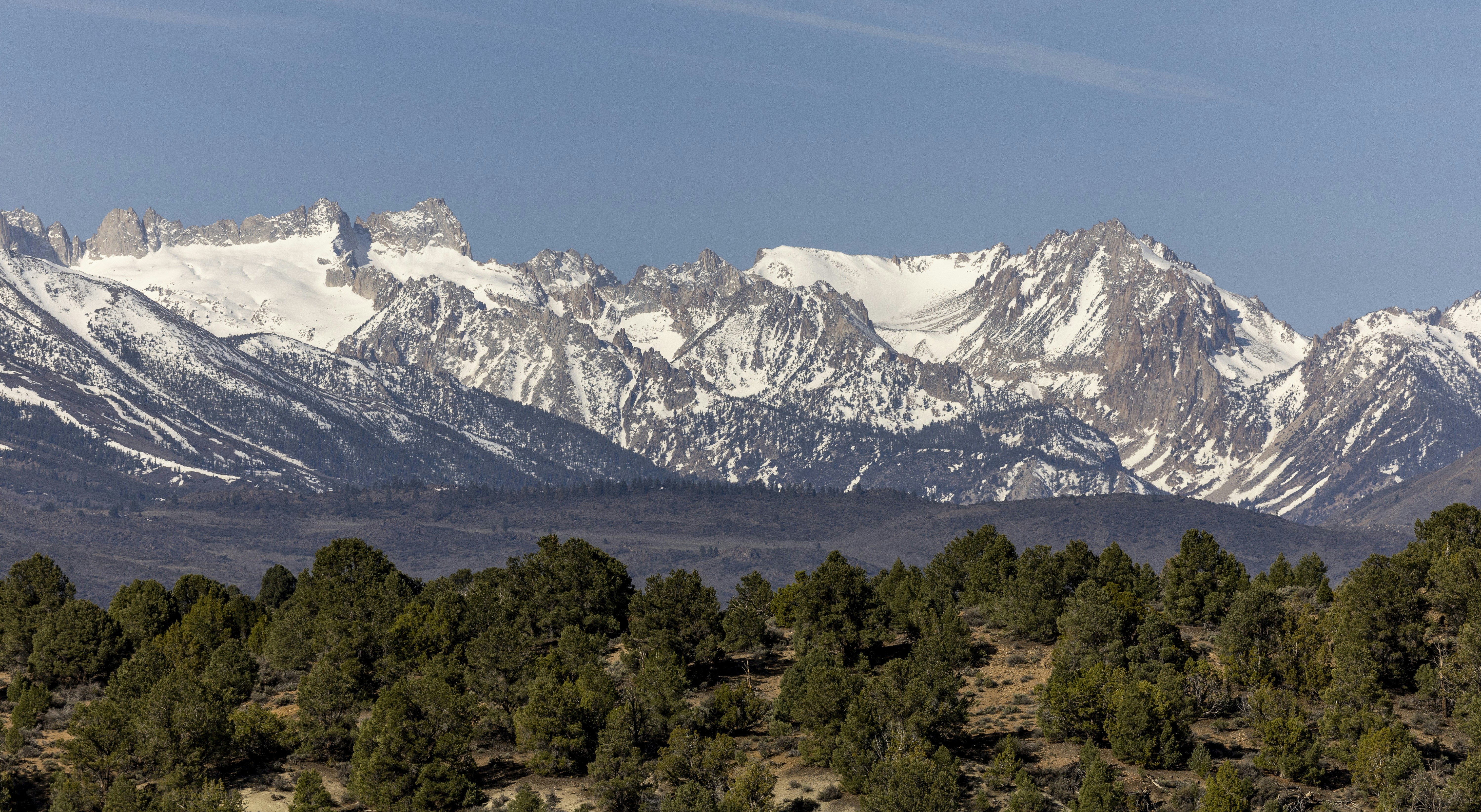 Photo by leo_visions_