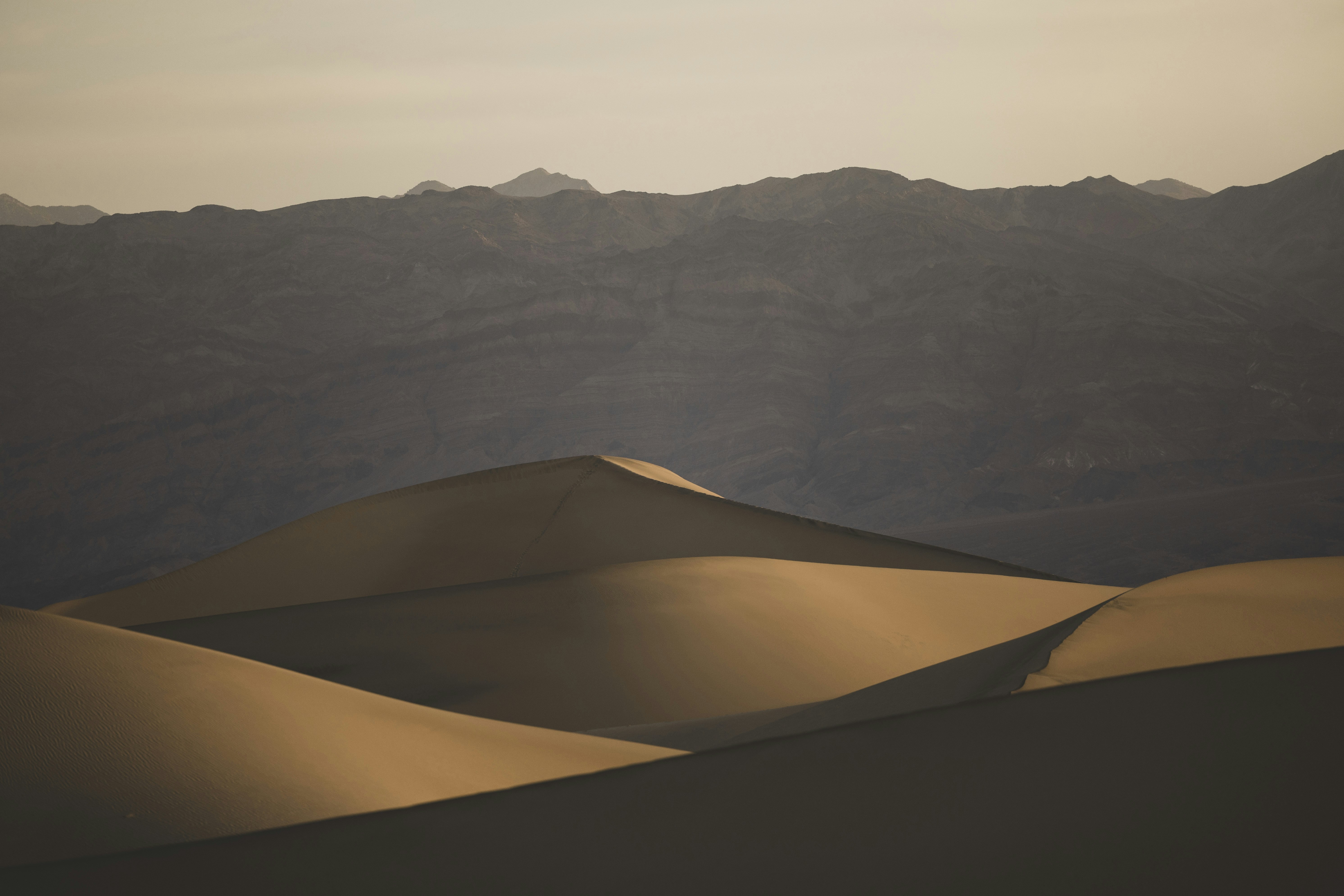 Photo by leo_visions_