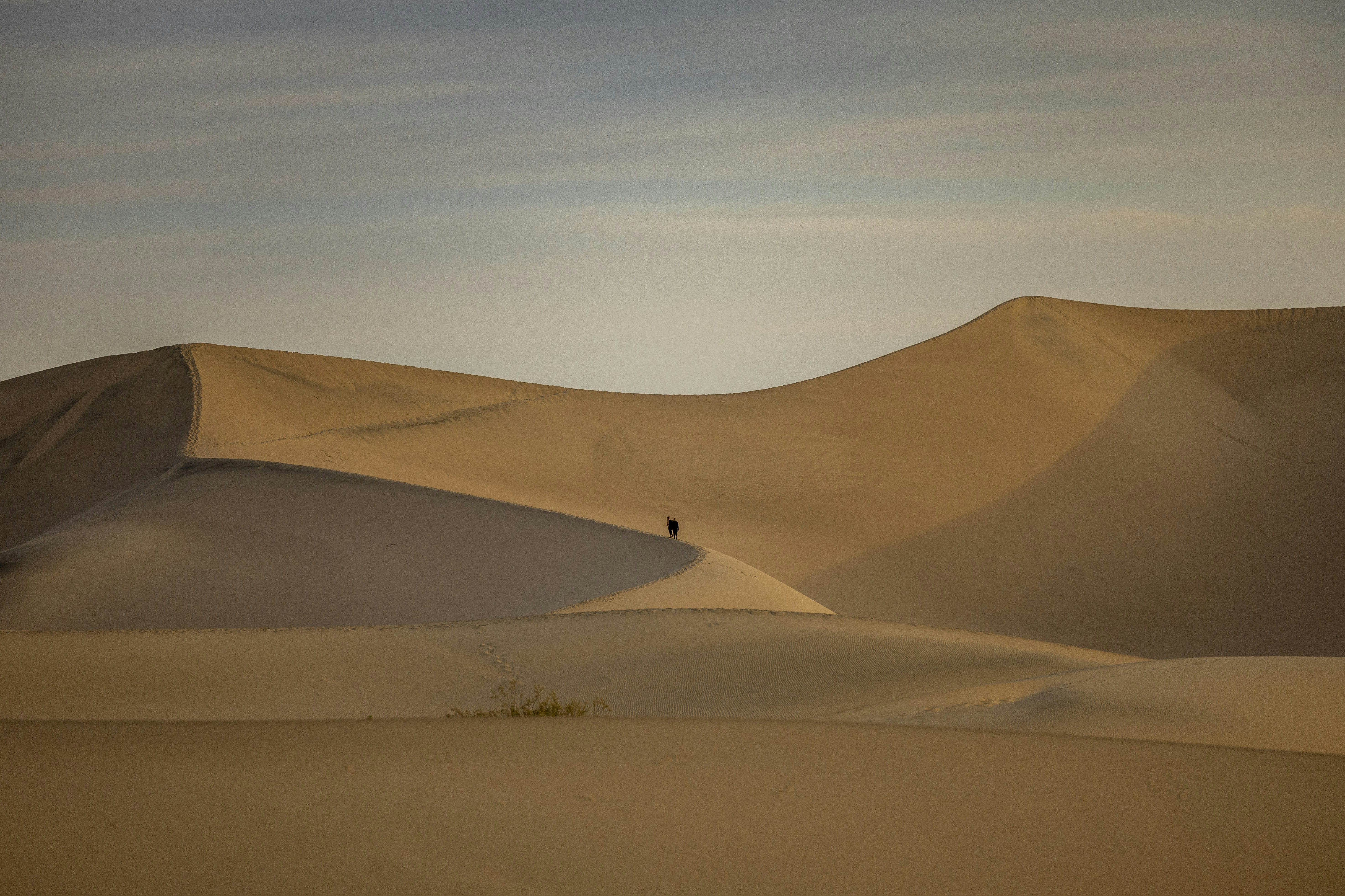 Photo by leo_visions_