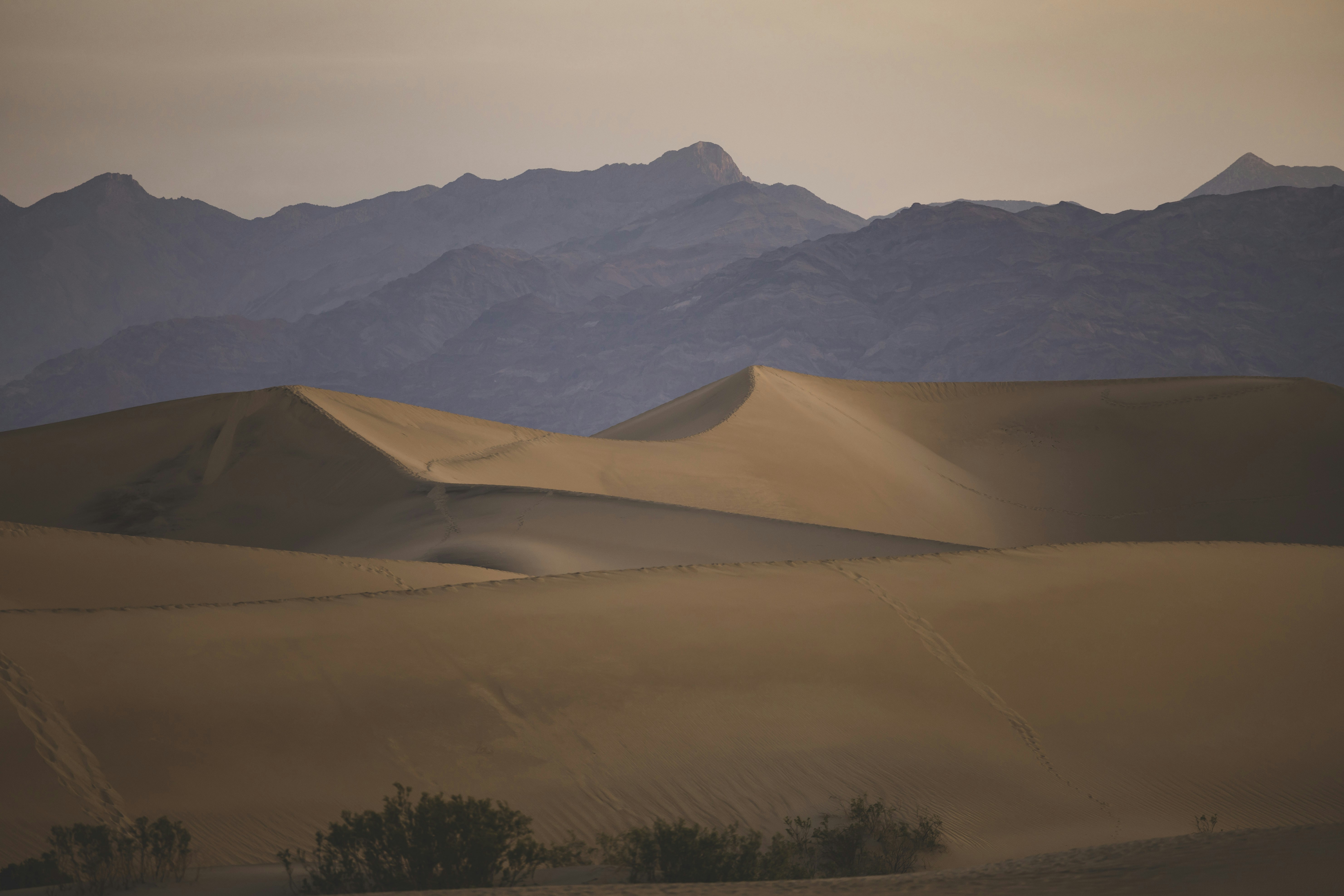 Photo by leo_visions_