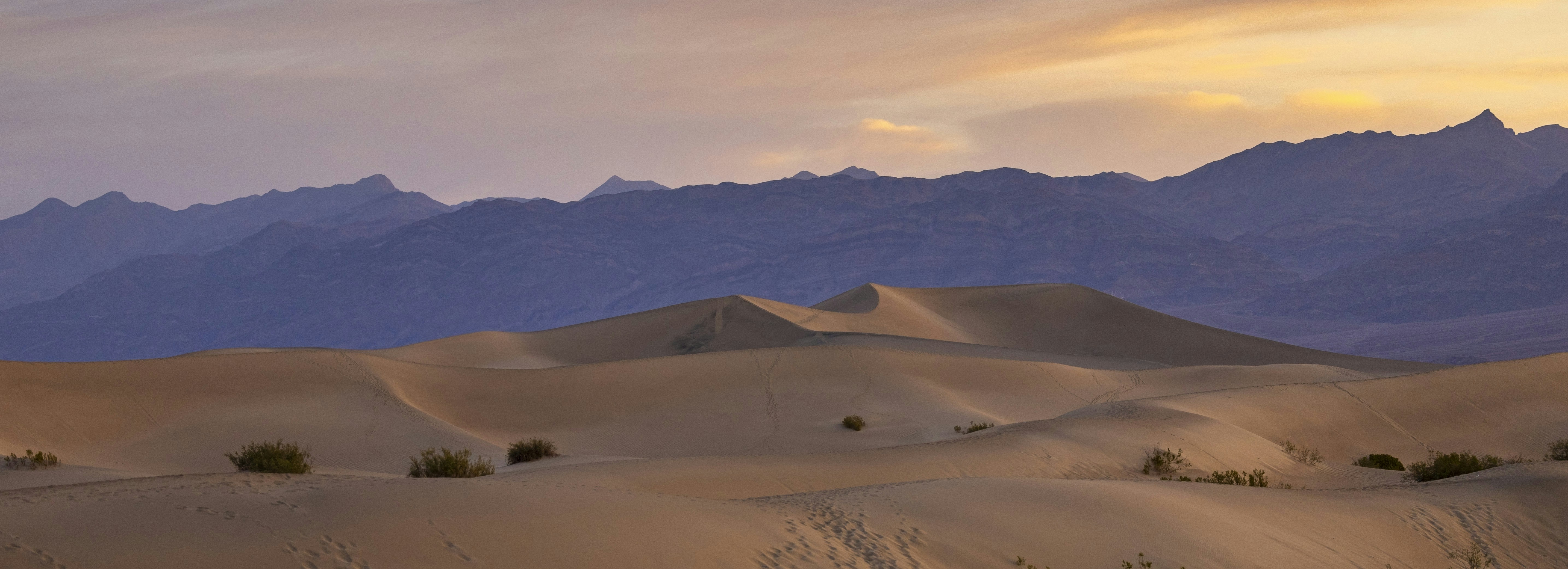 Photo by leo_visions_