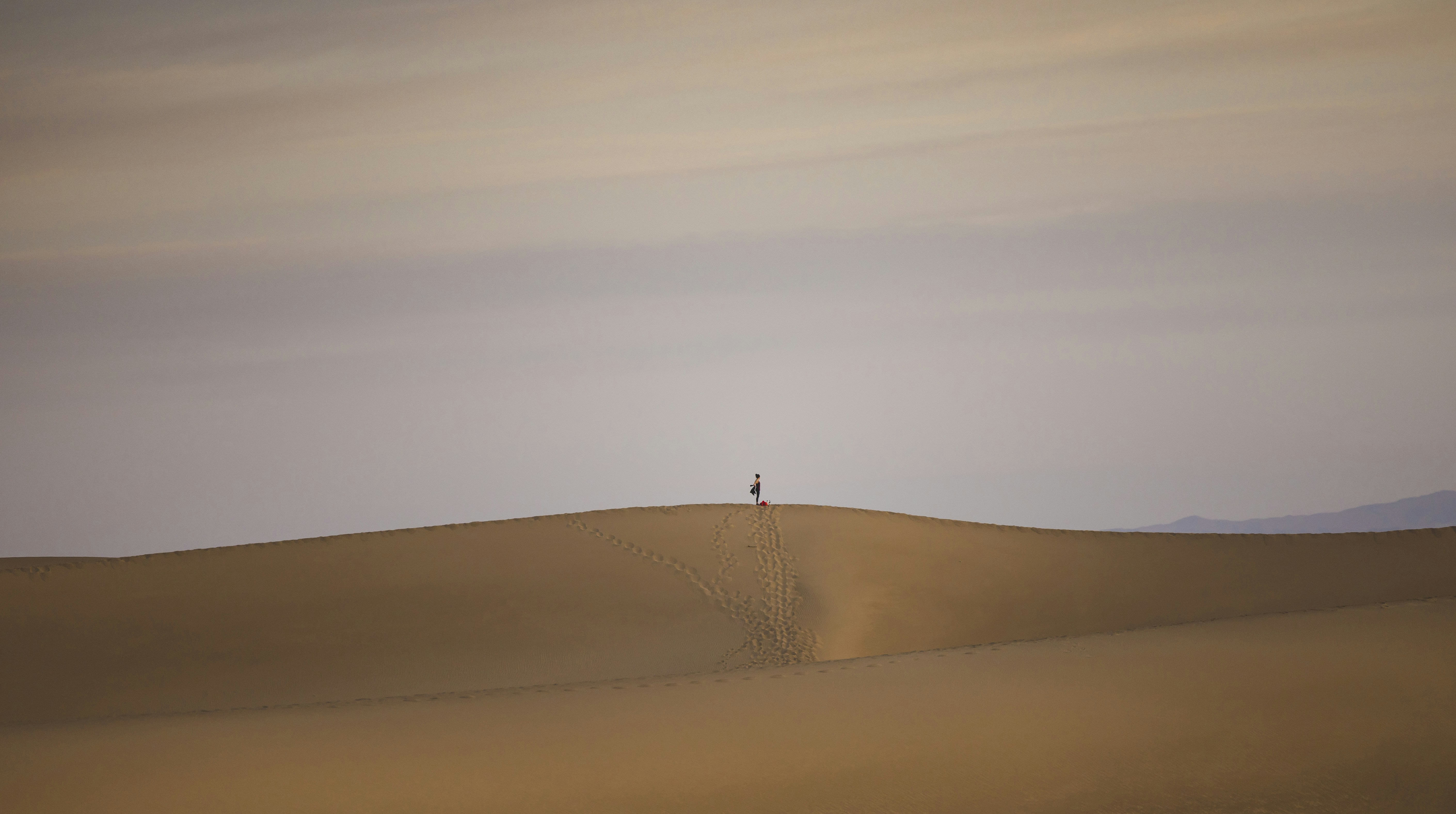 Photo by leo_visions_