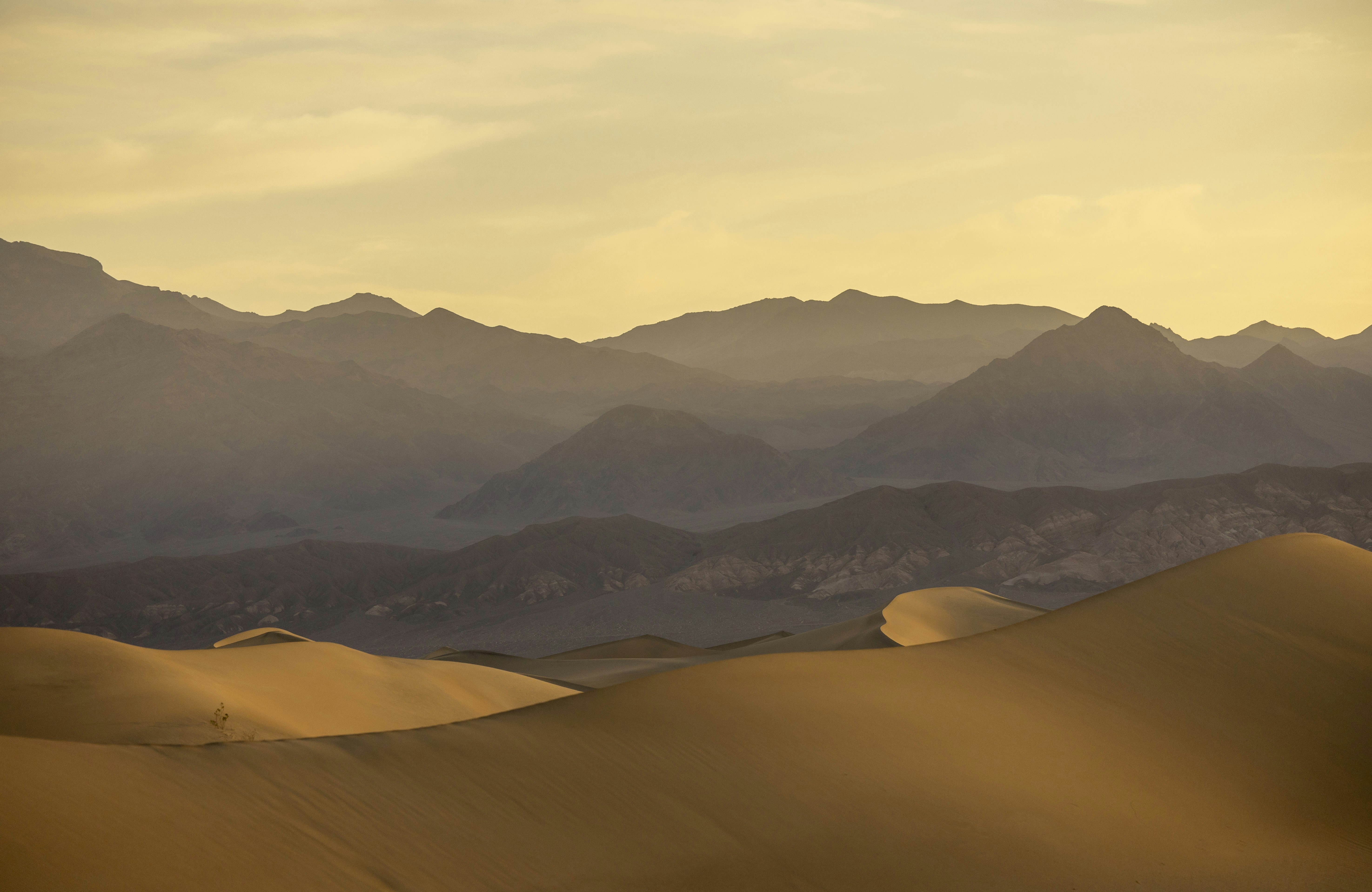 Photo by leo_visions_