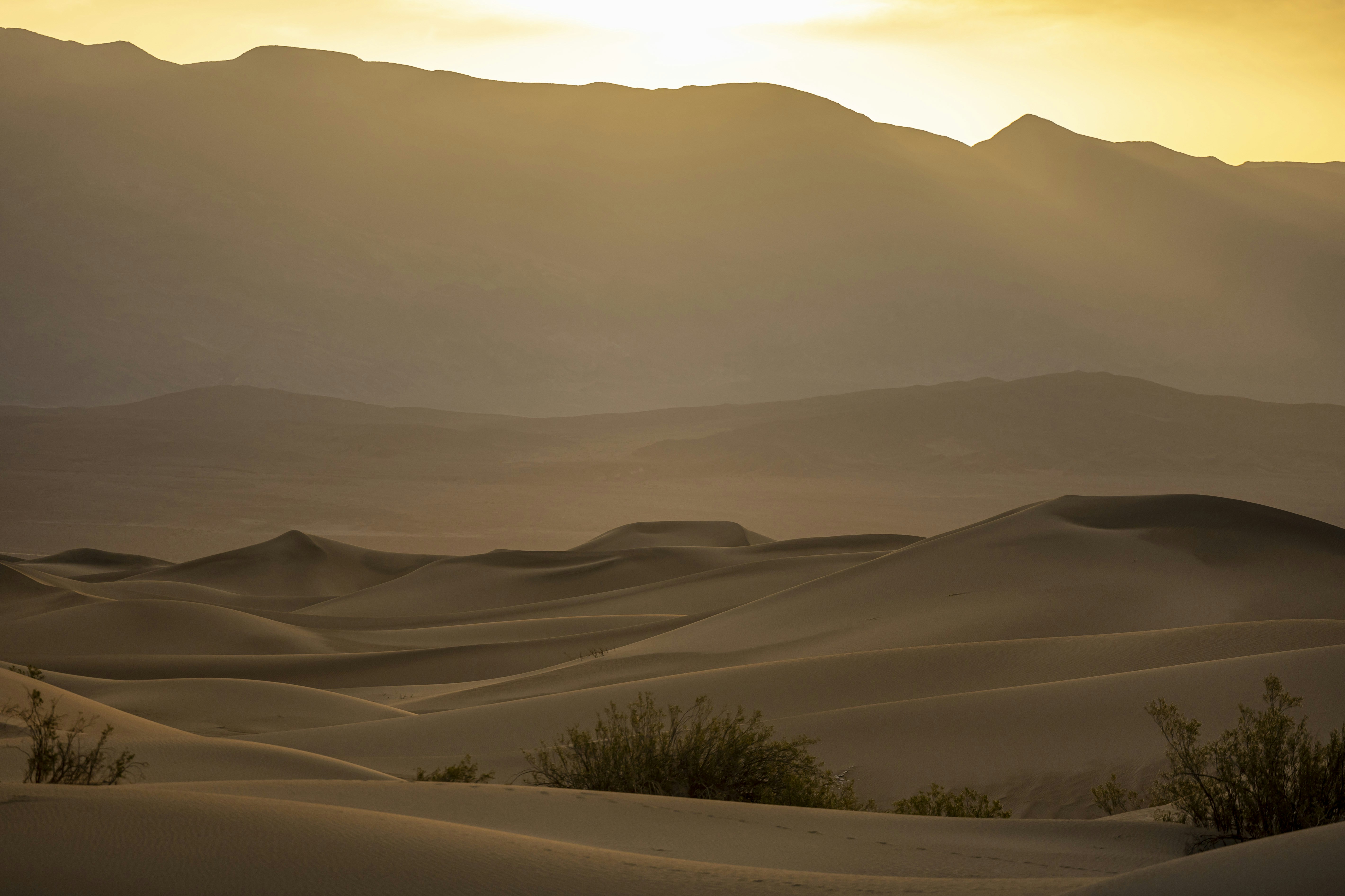 Photo by leo_visions_