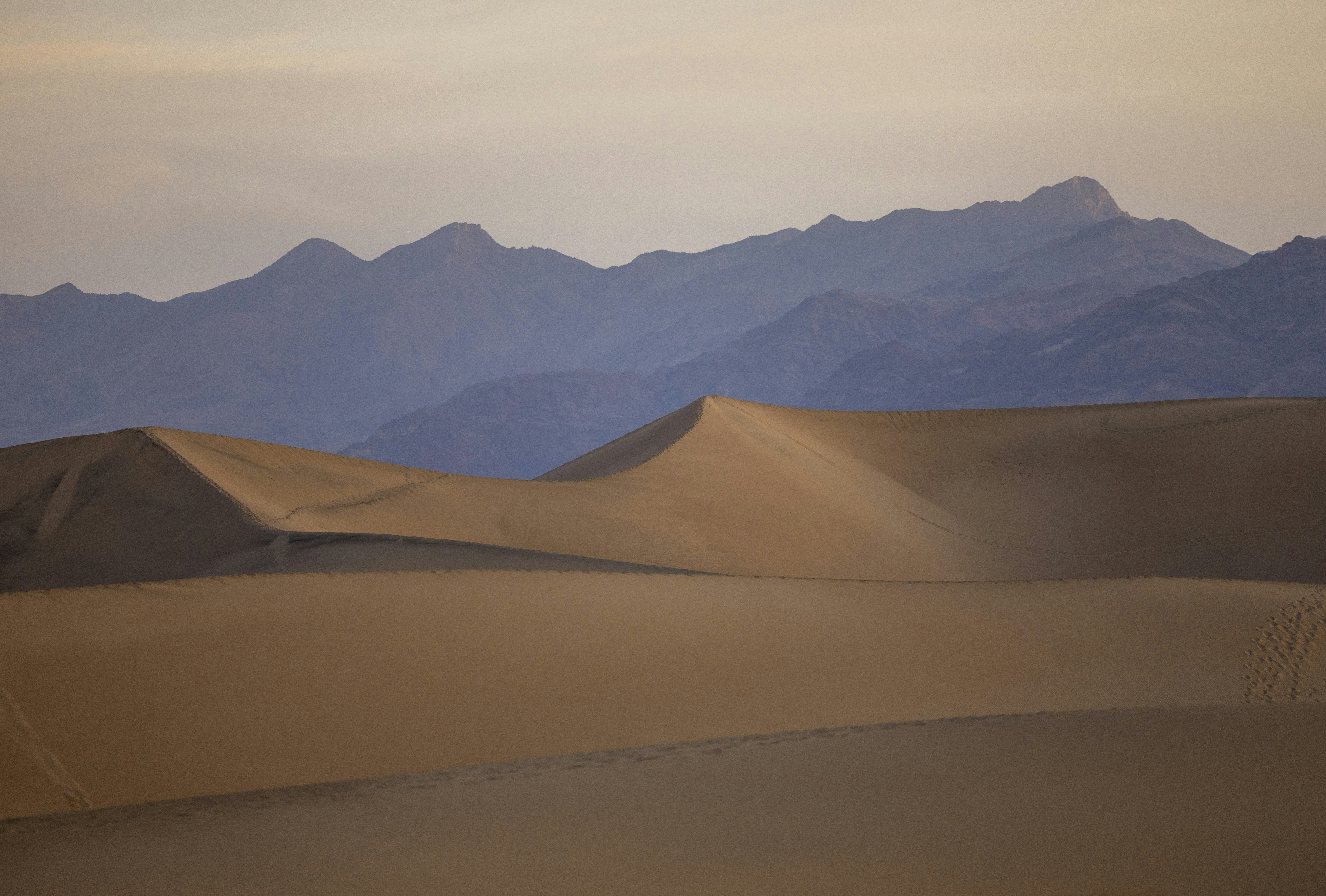 Photo by leo_visions_