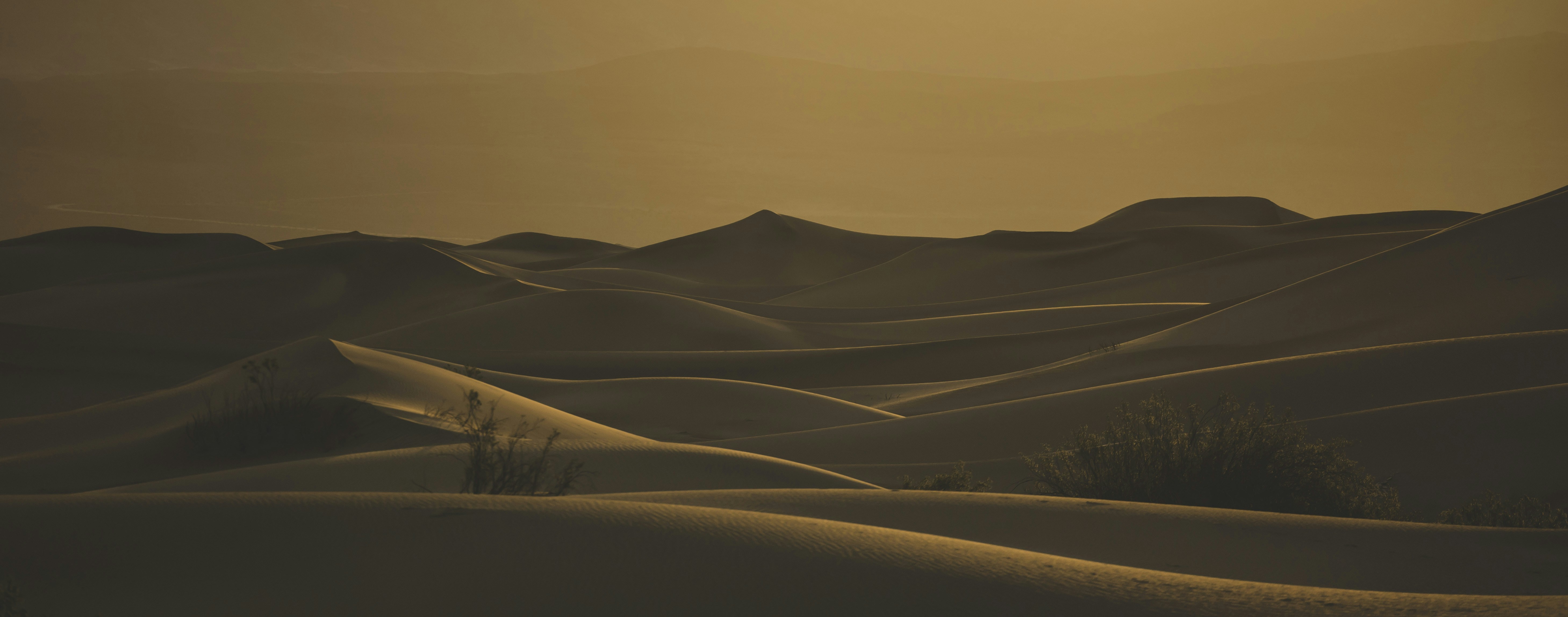 Photo by leo_visions_