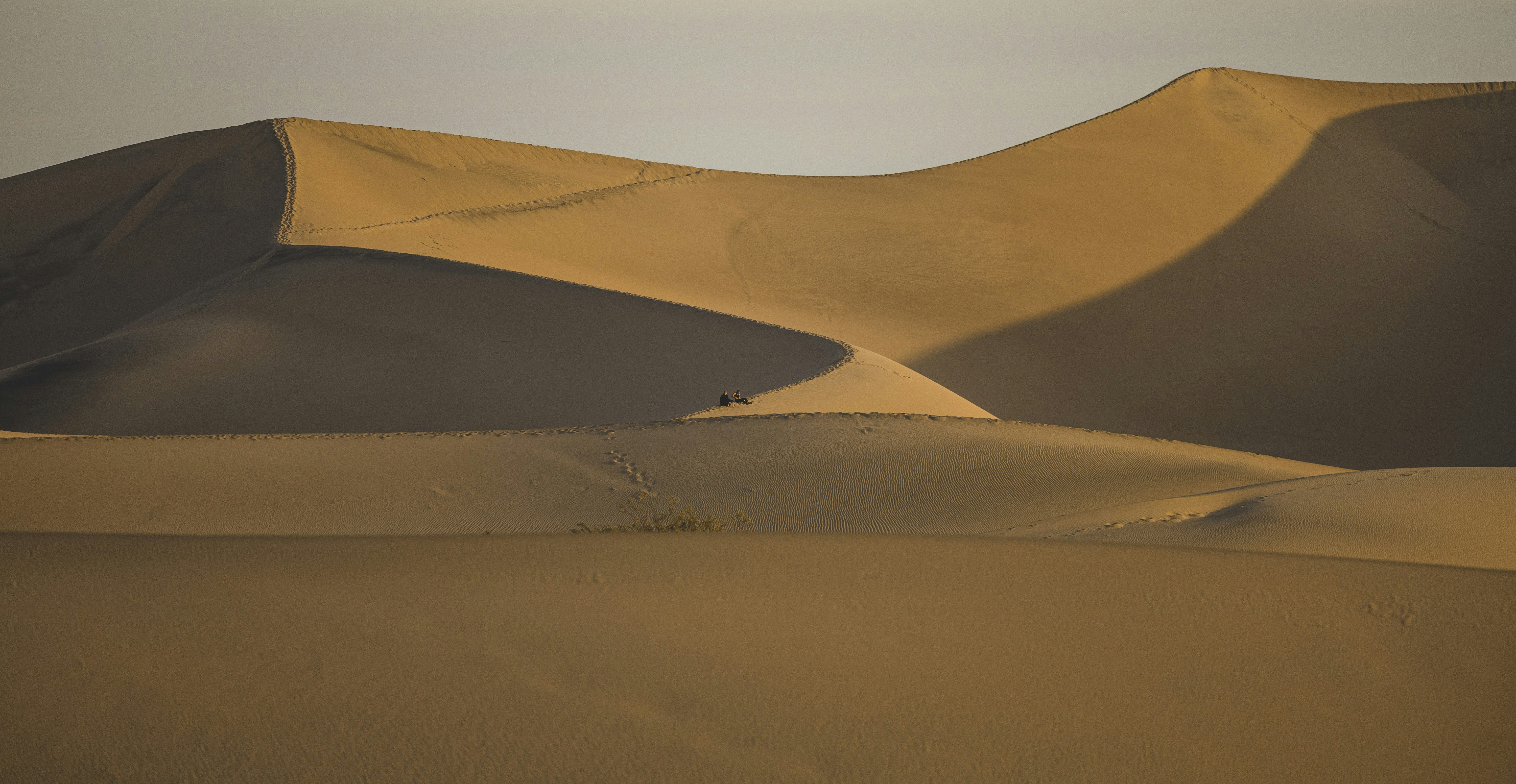 Photo by leo_visions_