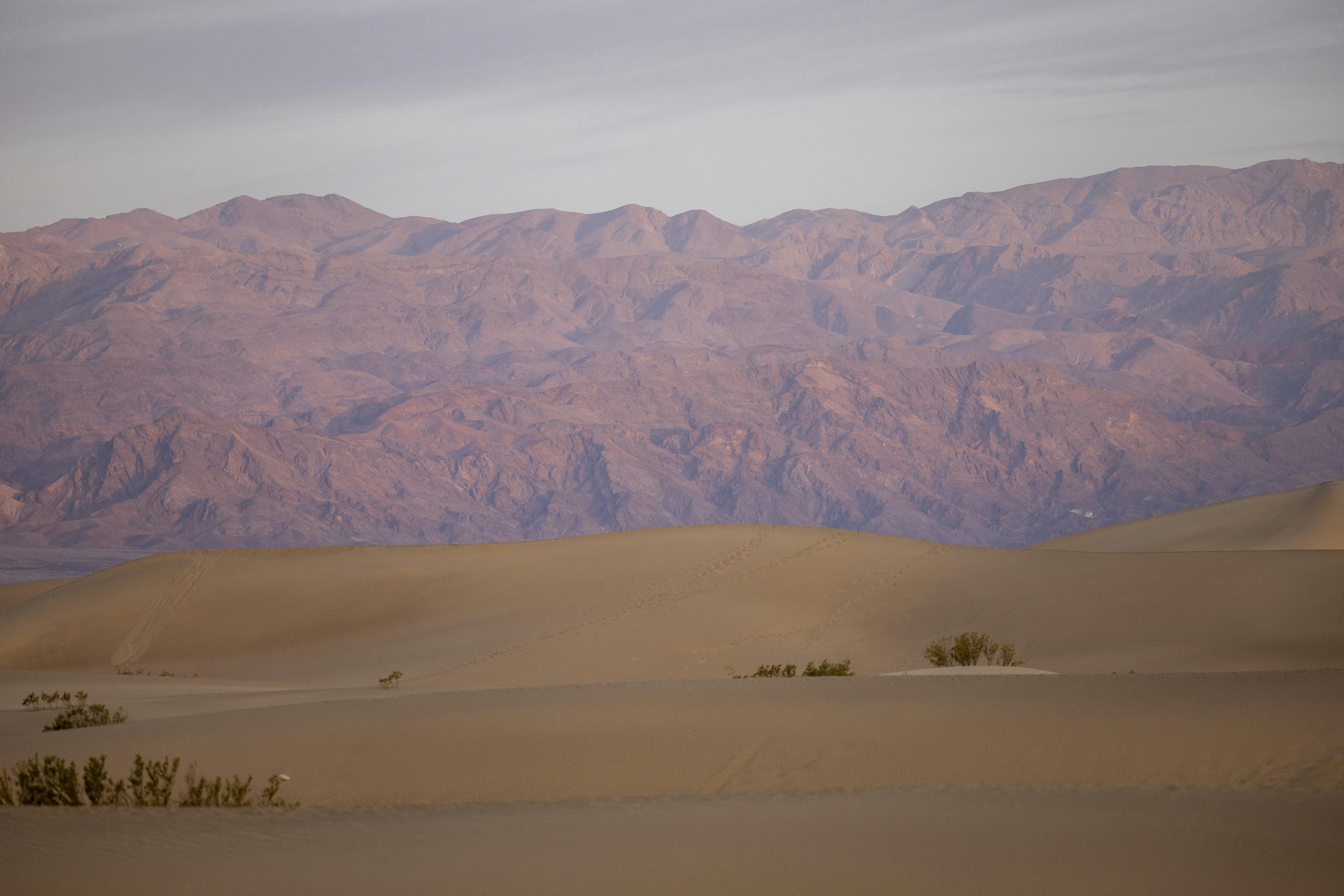 Photo by leo_visions_