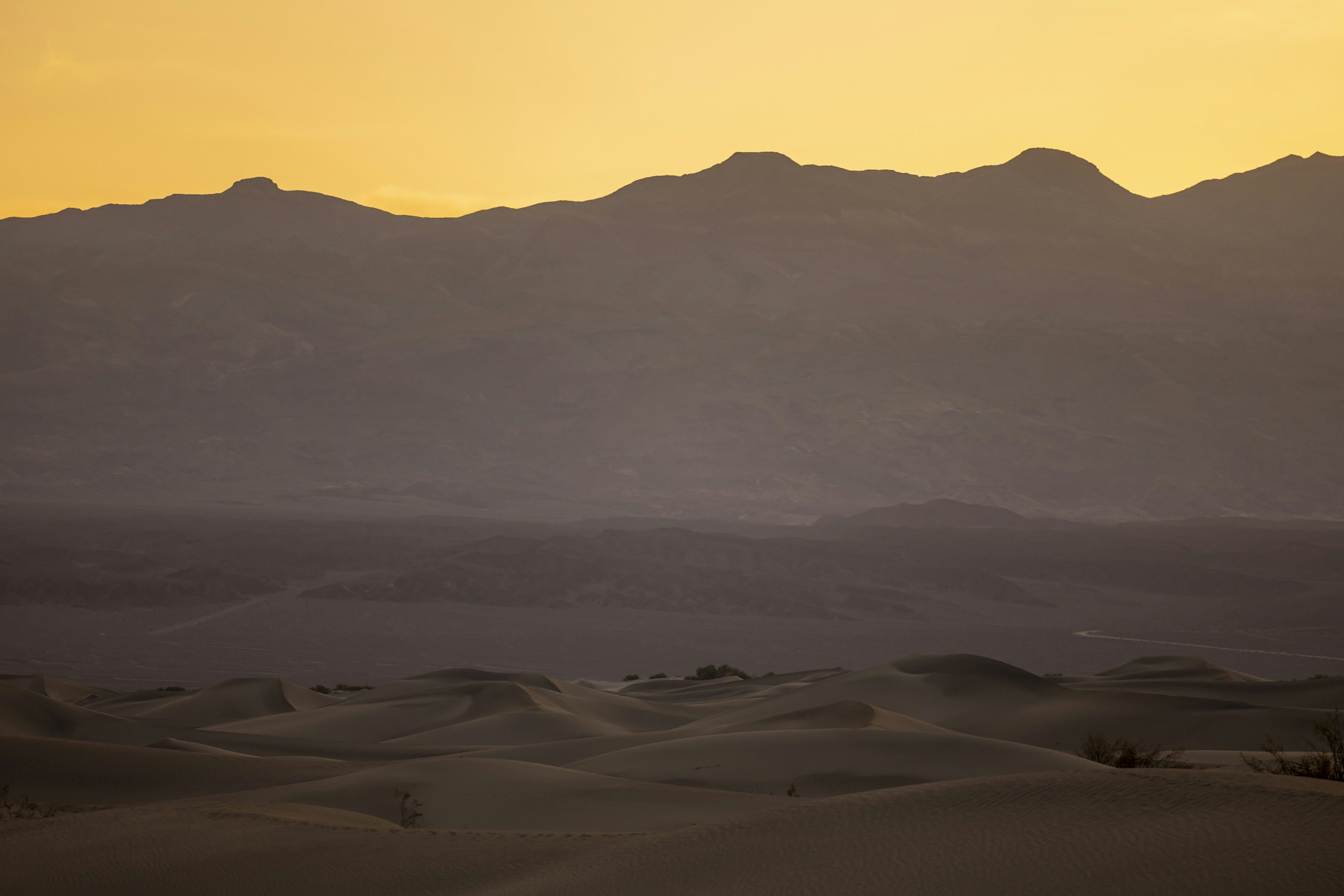 Photo by leo_visions_