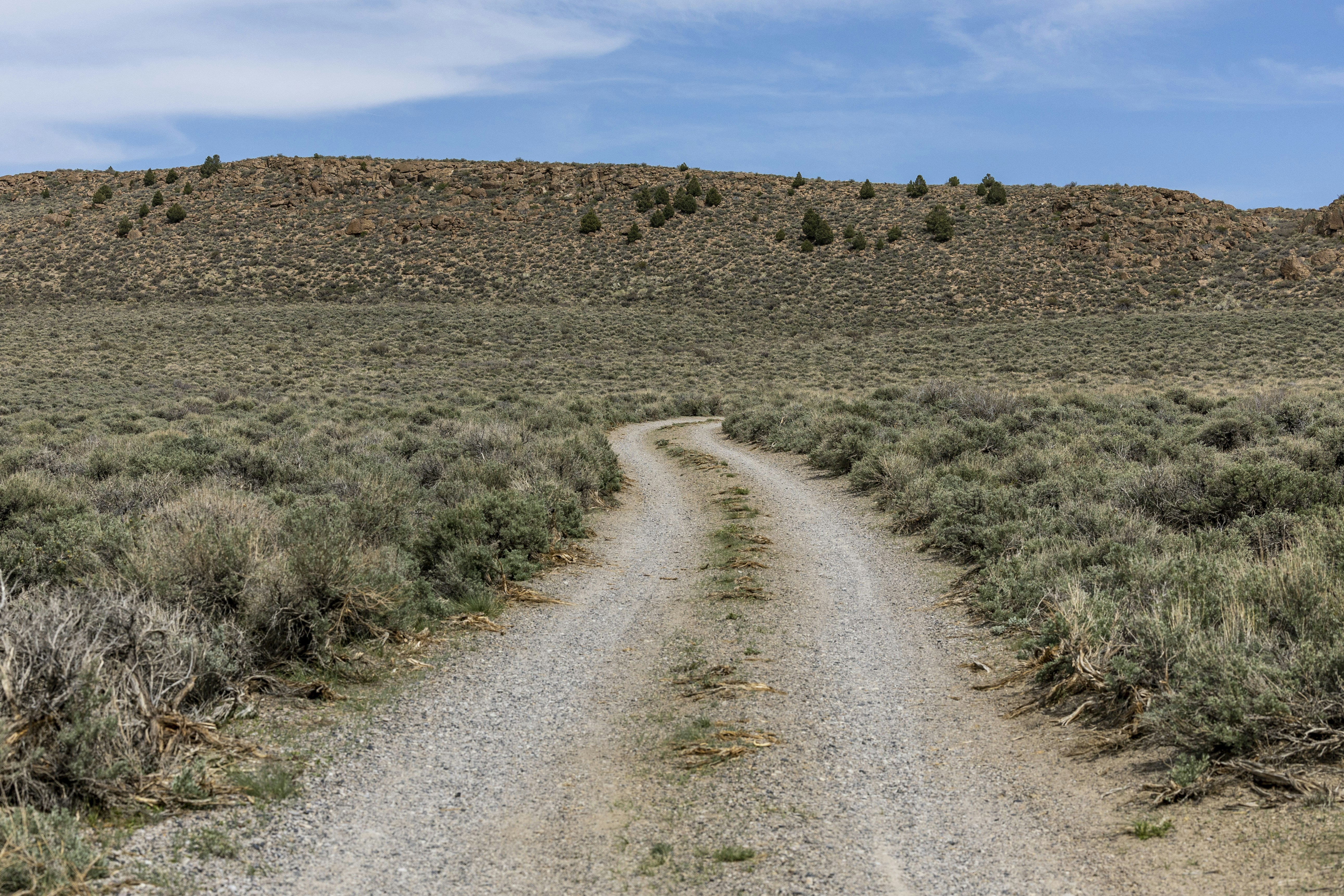 Photo by leo_visions_