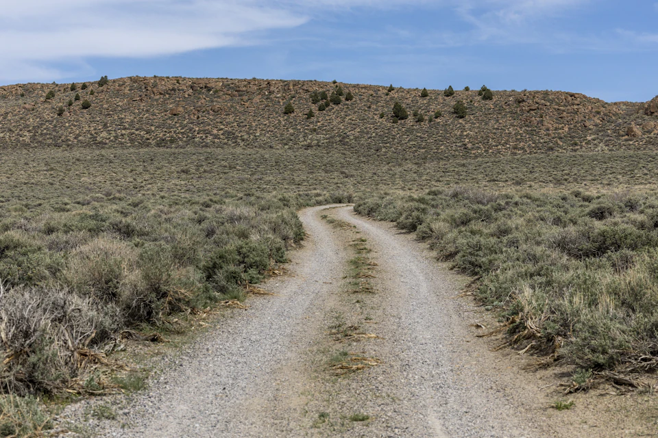 The image depicts a dirt road winding through a desert landscape, with a hill covered in shrubs and trees on one side and a clear blue sky above. The perspective is from ground level, looking down the road towards the horizon.