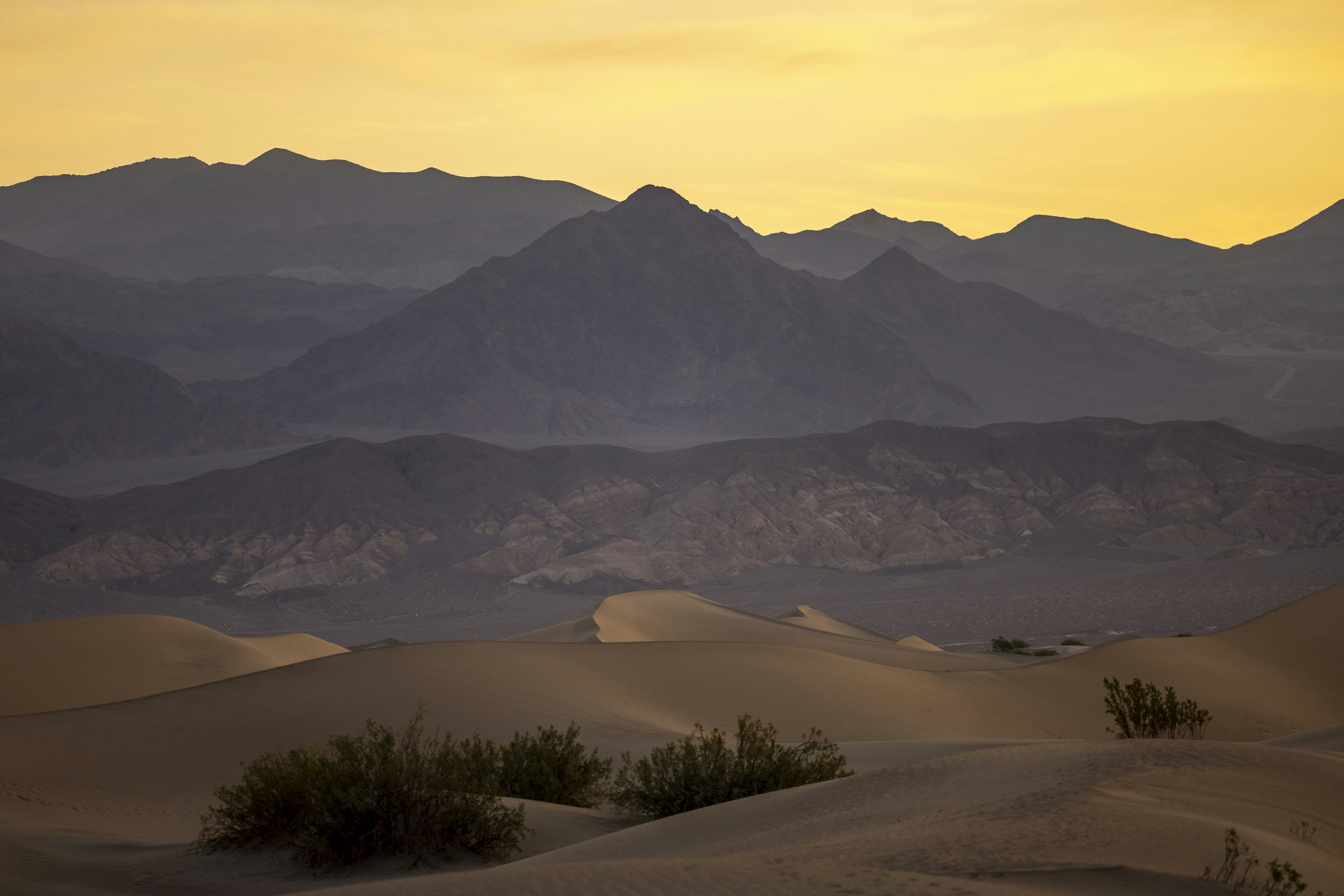 Photo by leo_visions_