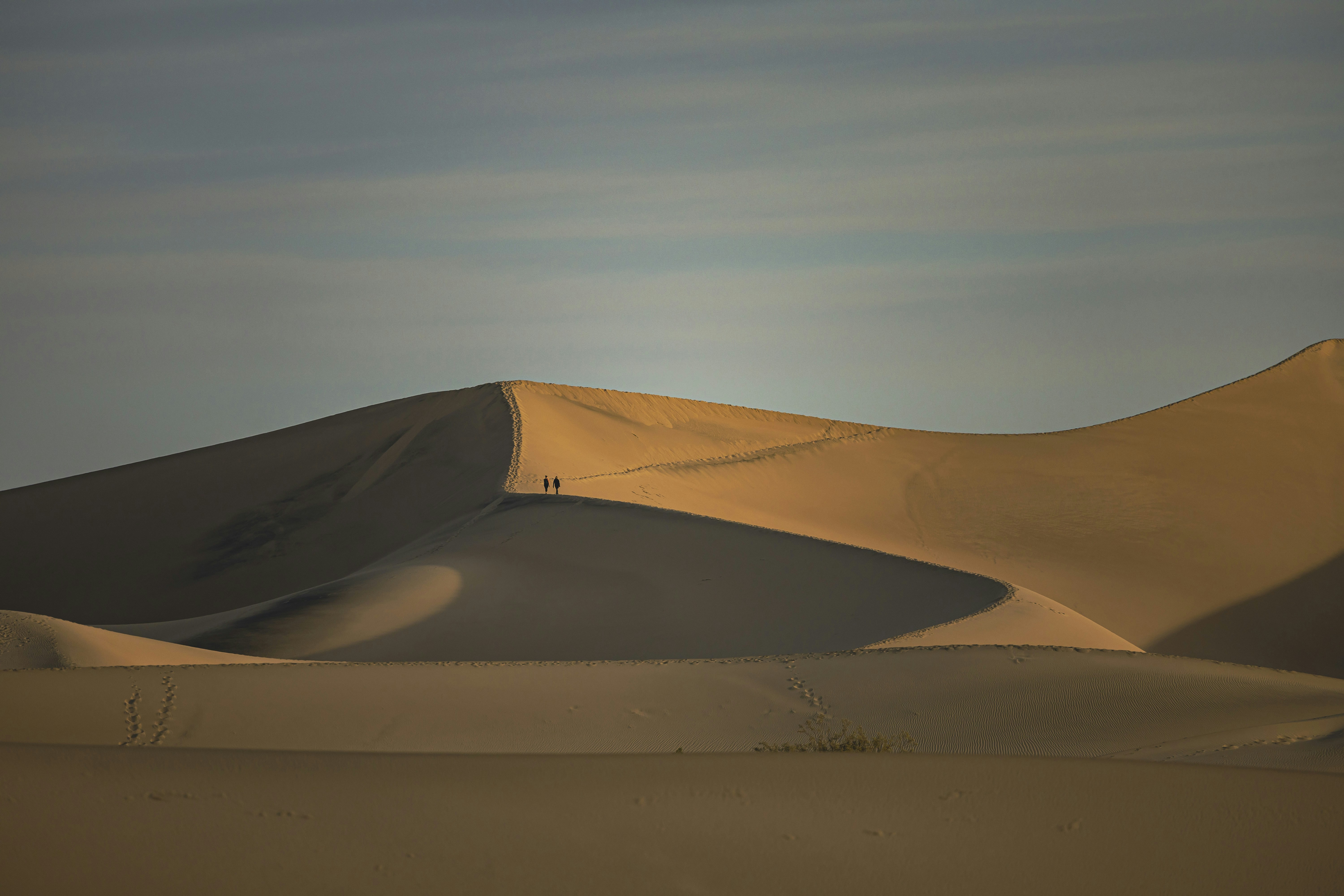 Photo by leo_visions_