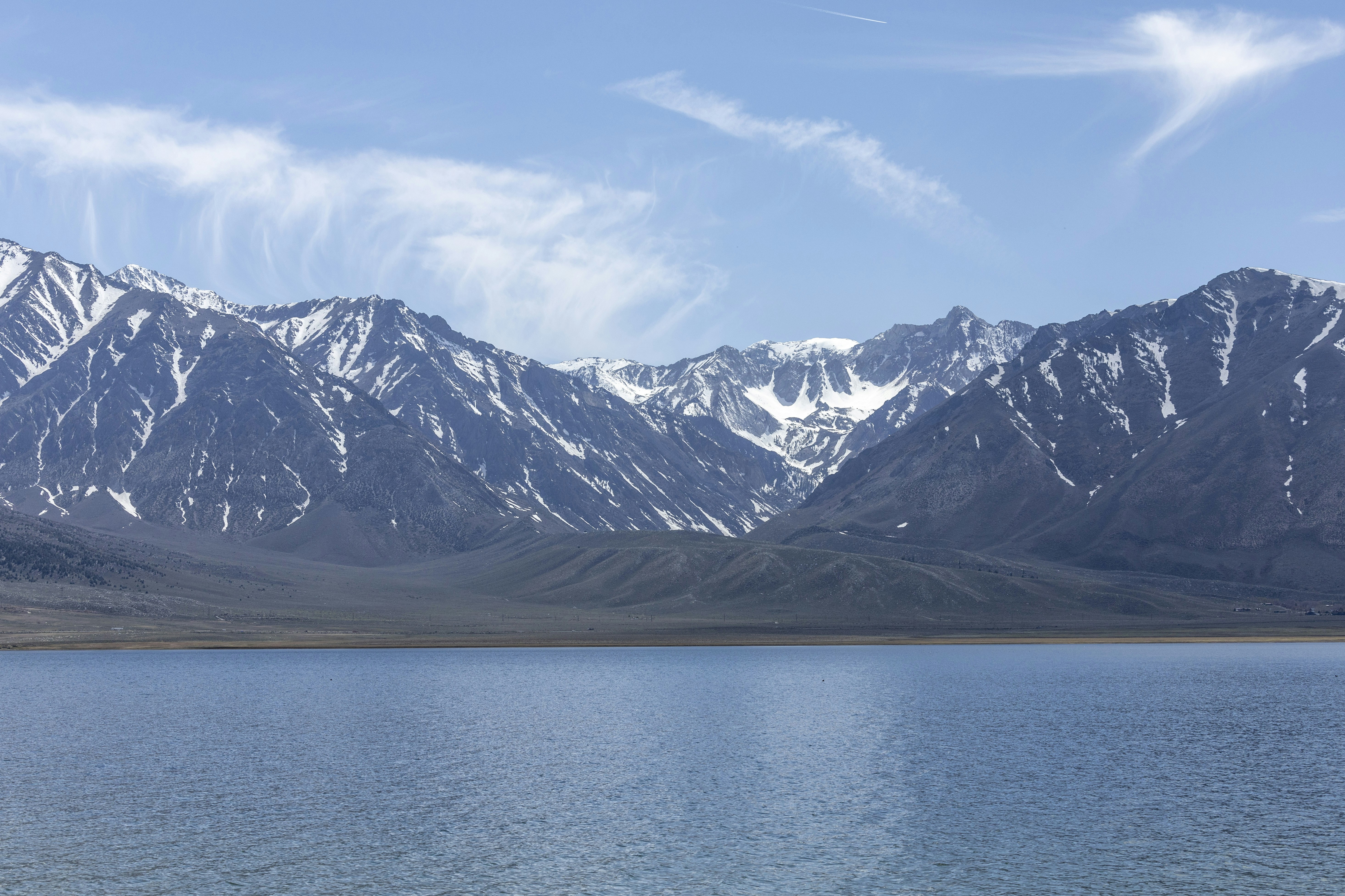 Photo by leo_visions_