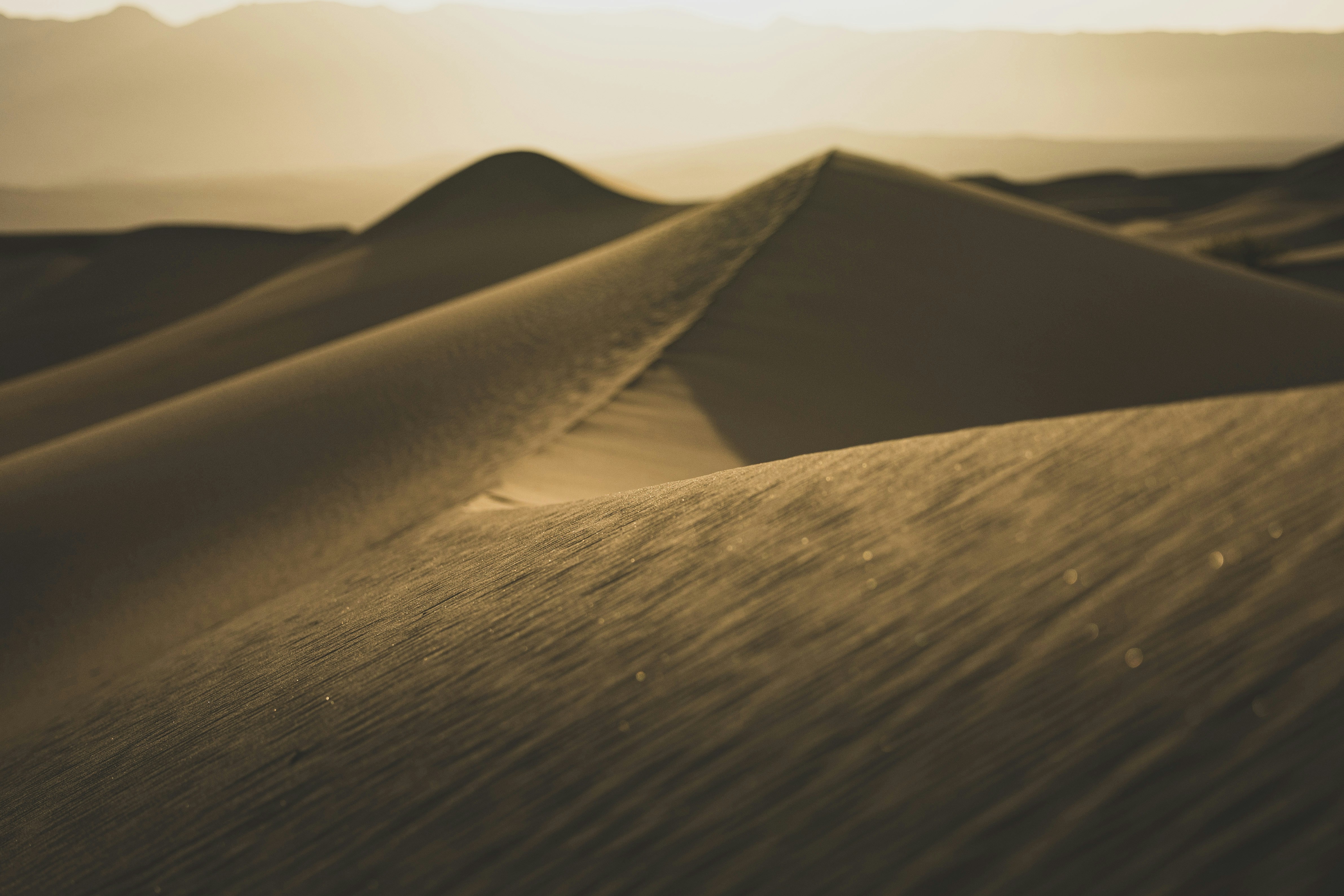 Photo by leo_visions_