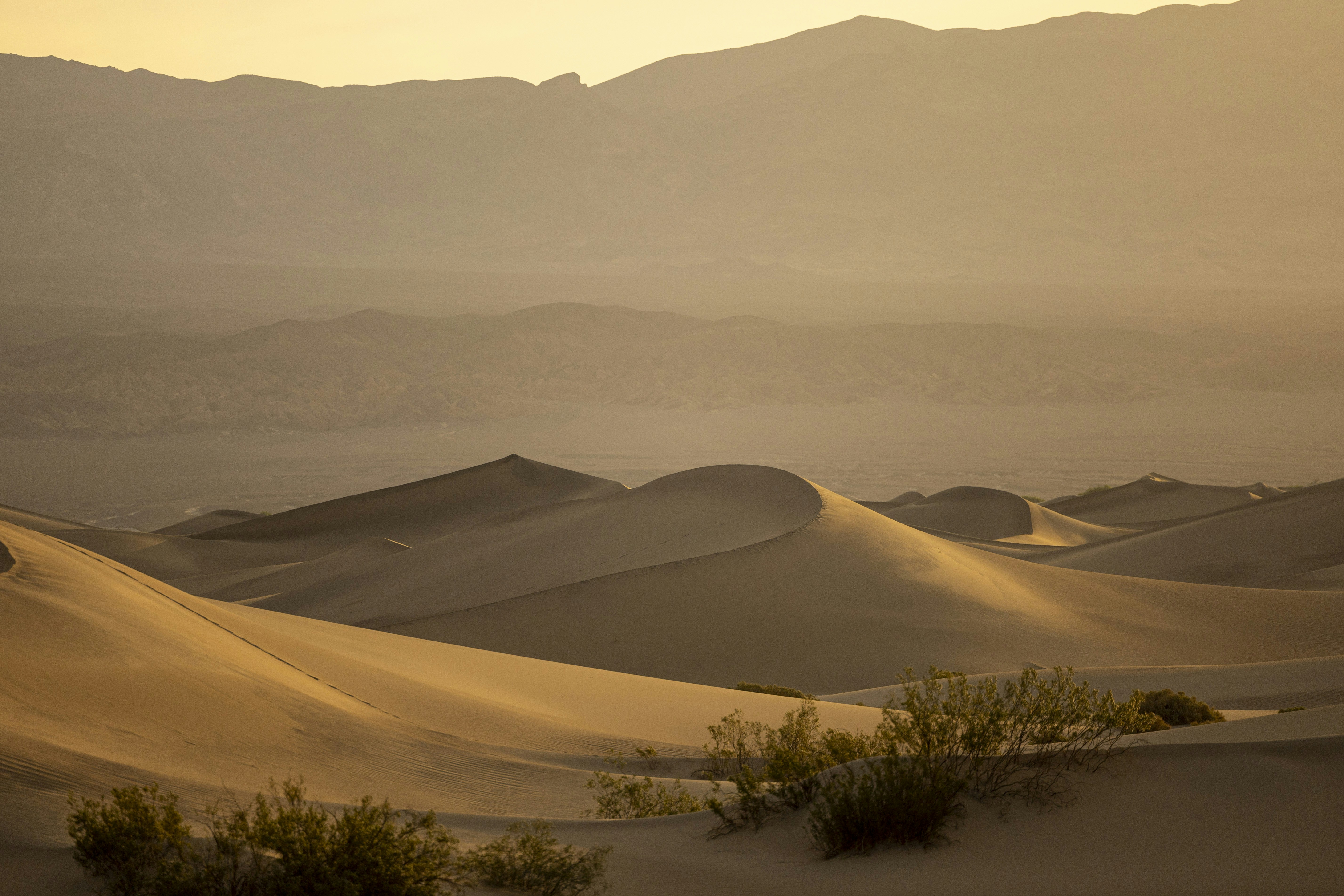 Photo by leo_visions_