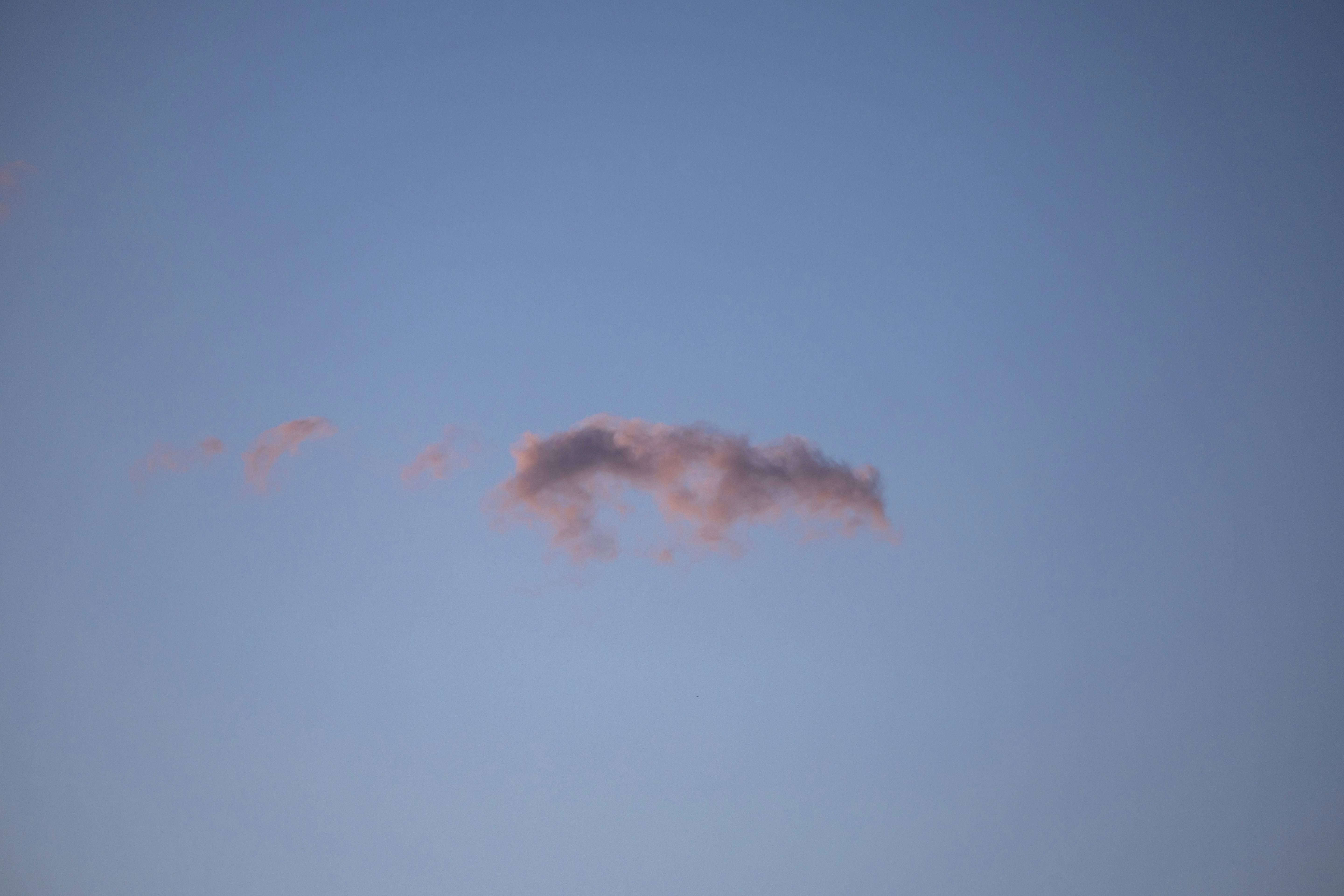 Photo by leo_visions_