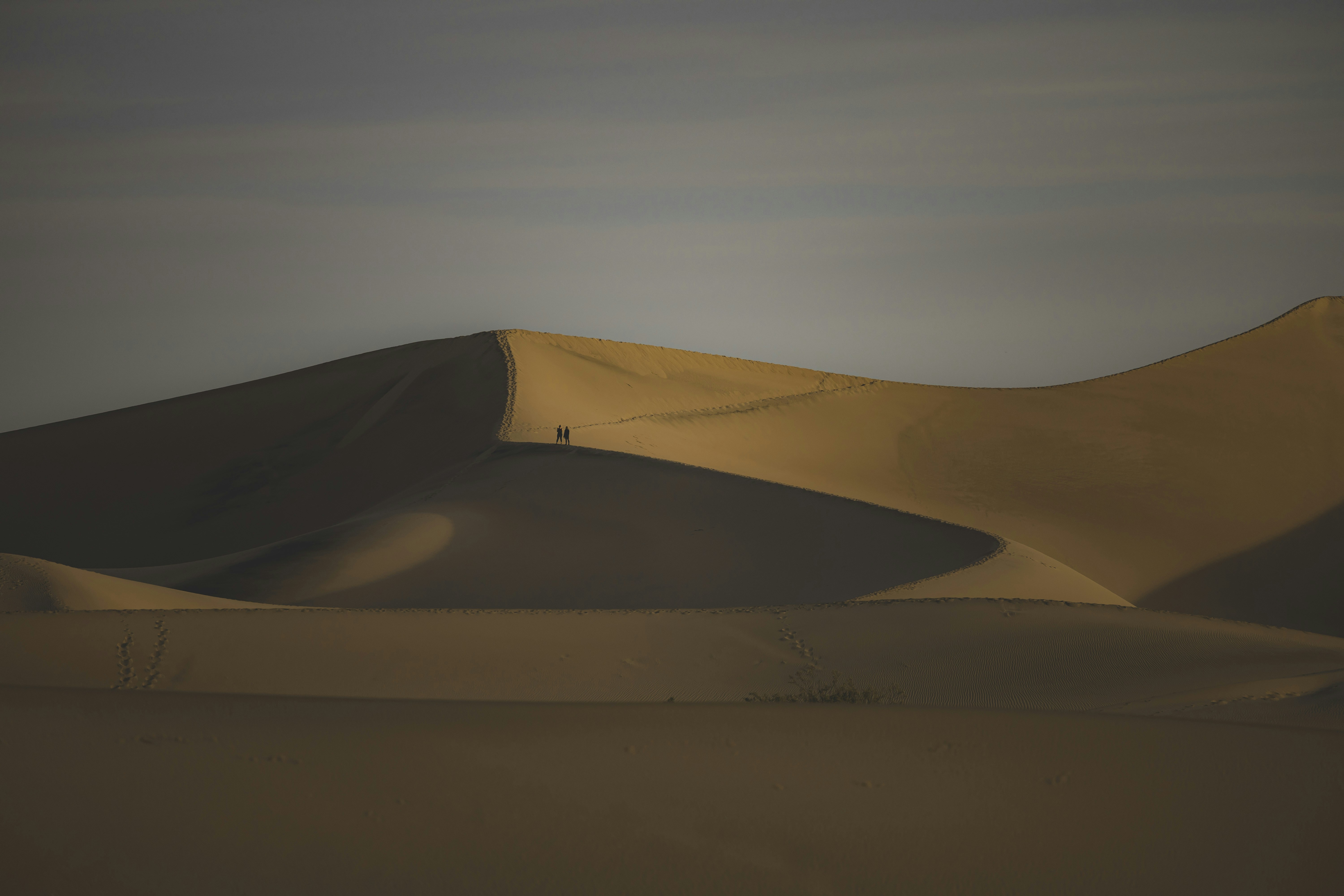 Photo by leo_visions_