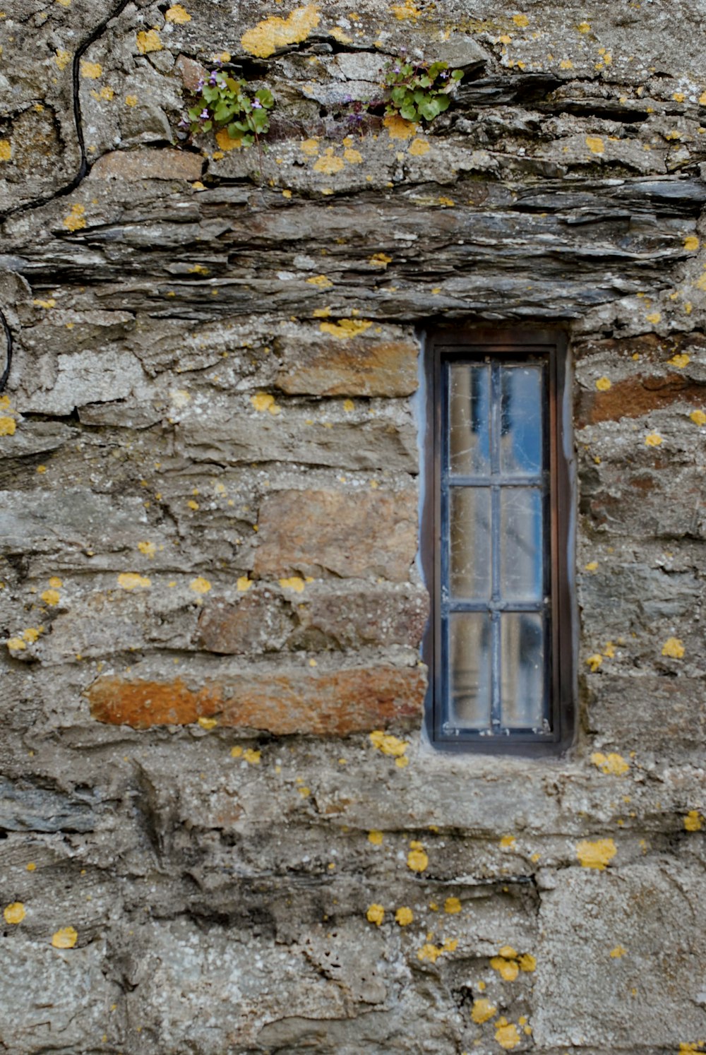 a window in a stone wall with yellow lichen on it
