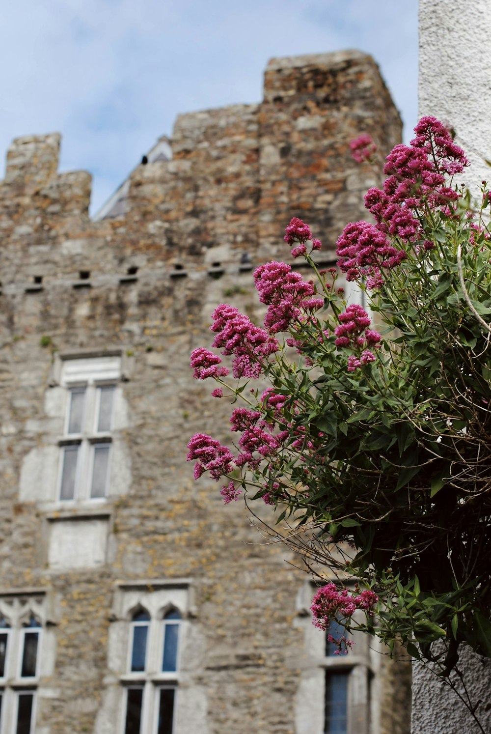 a building with a bunch of flowers in front of it