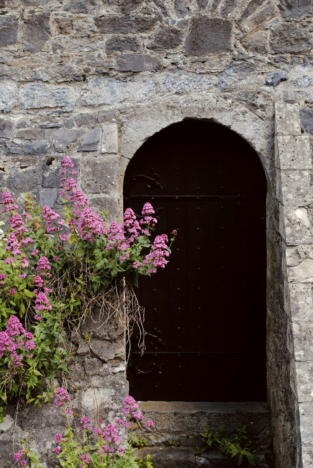 una puerta con un ramo de flores que crecen fuera de ella