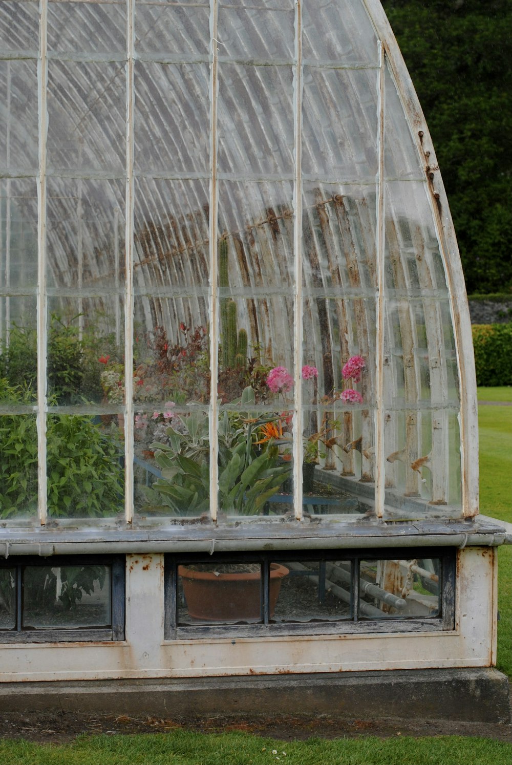 a greenhouse with a bench and potted plants