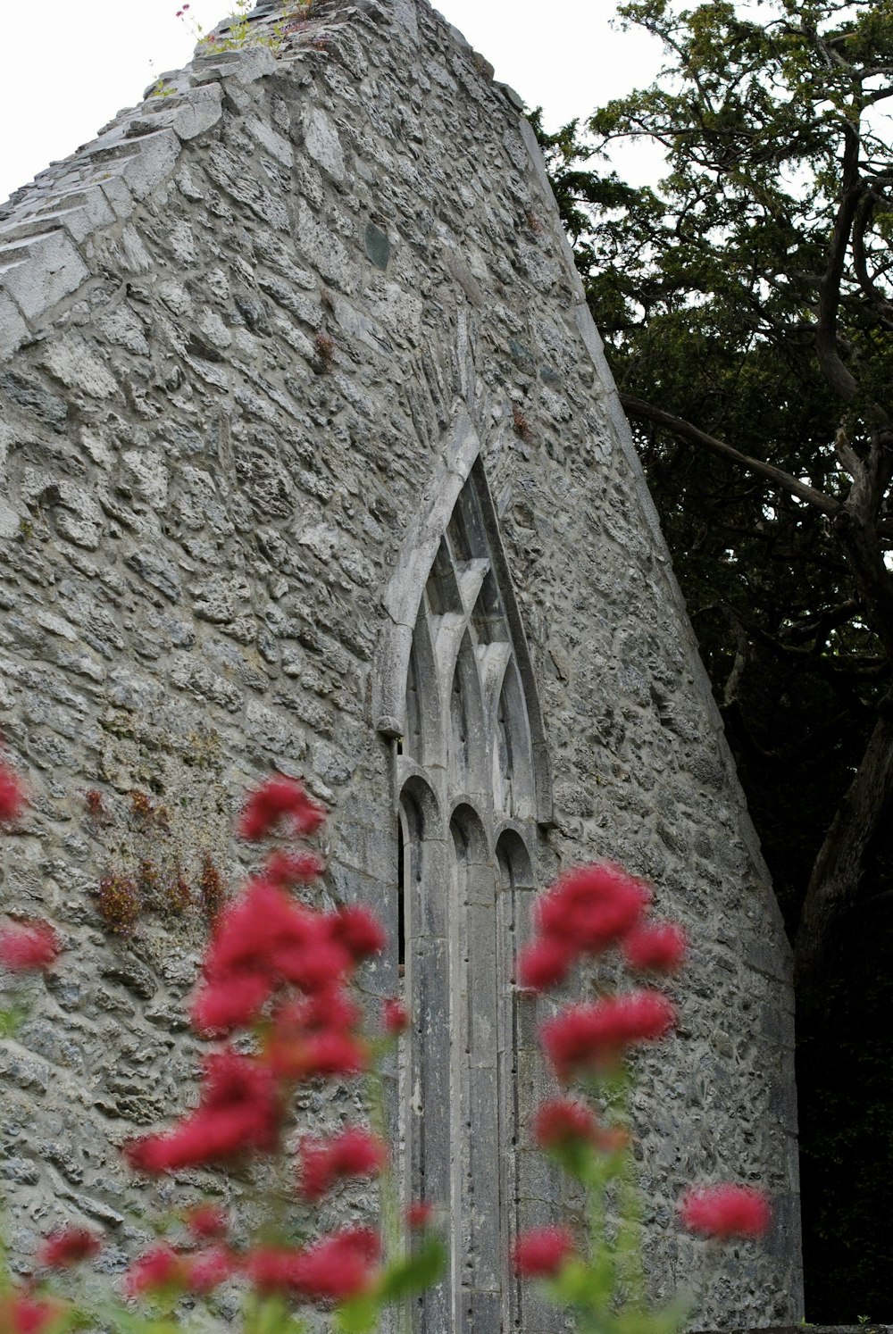 a stone building with a large window and red flowers in front of it
