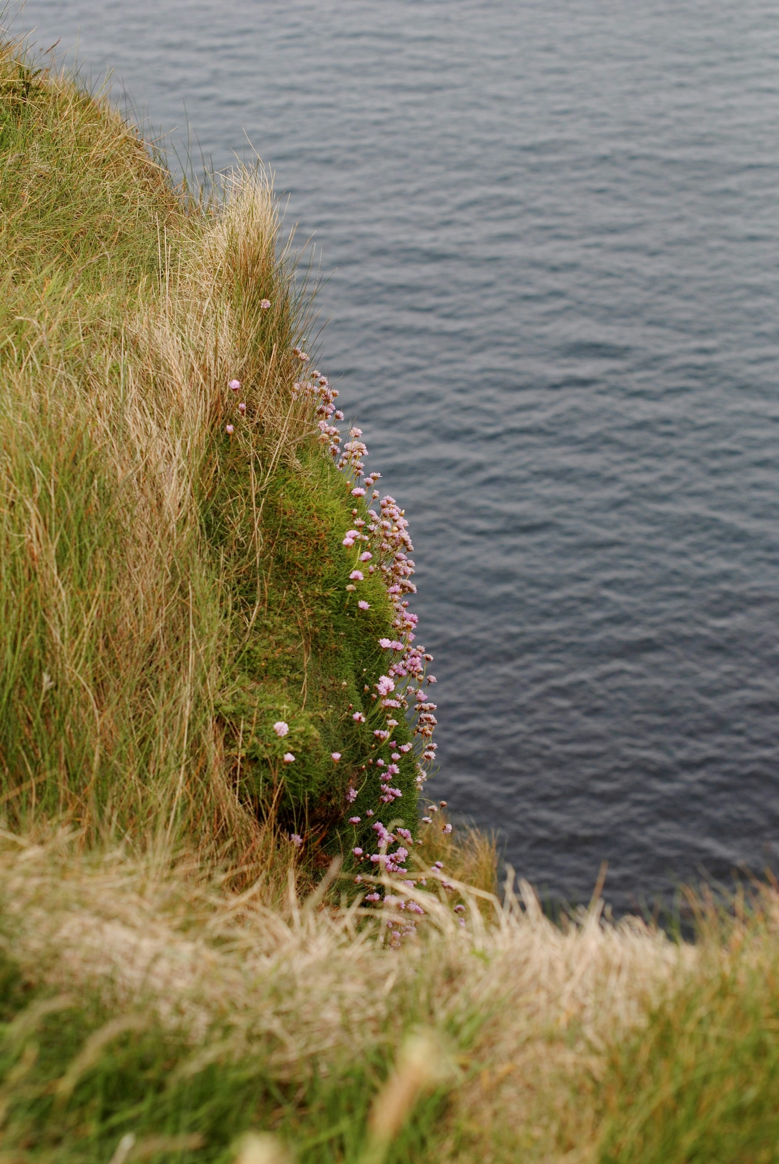 une falaise herbeuse avec un plan d’eau en arrière-plan
