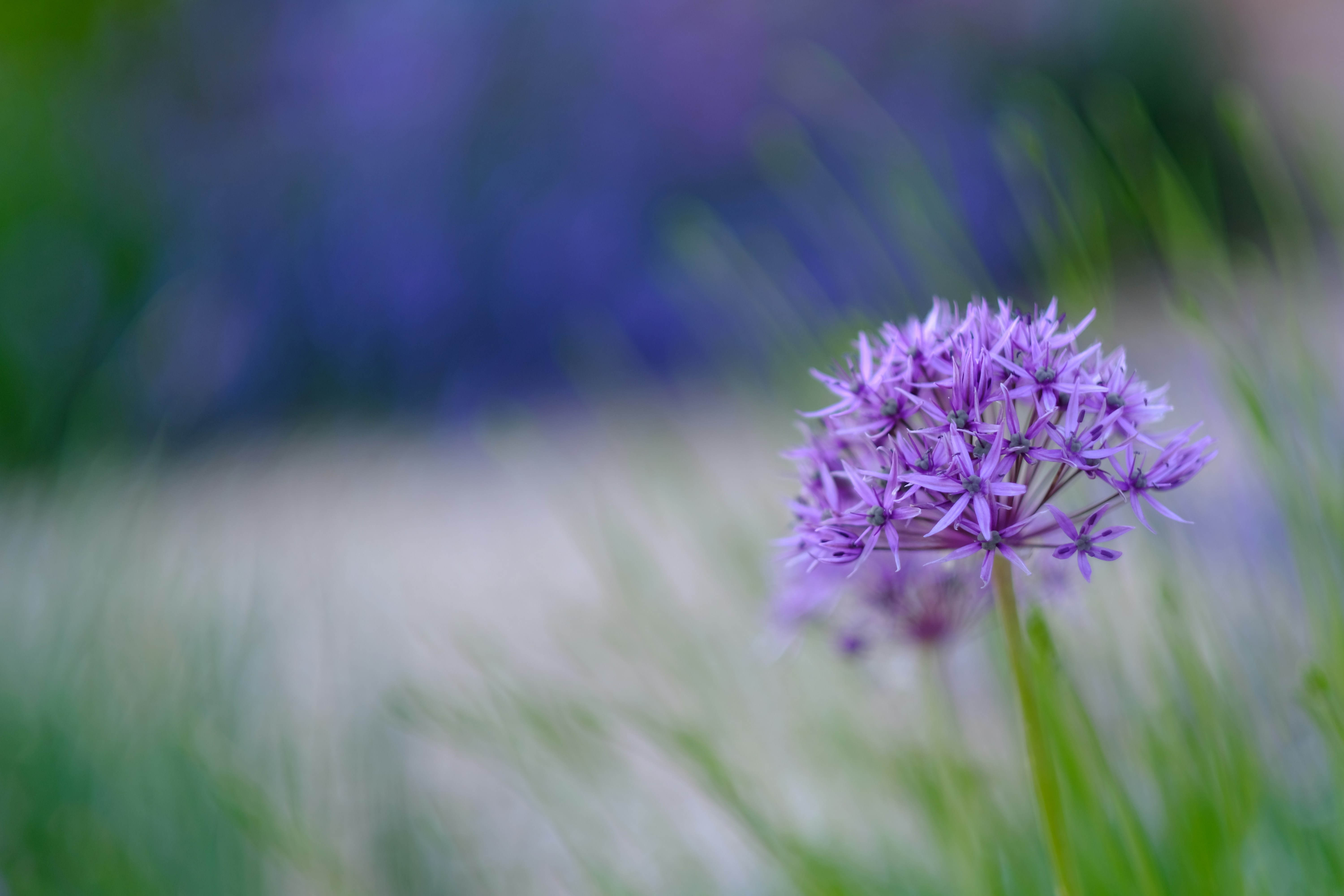 Photo by zaralazarov