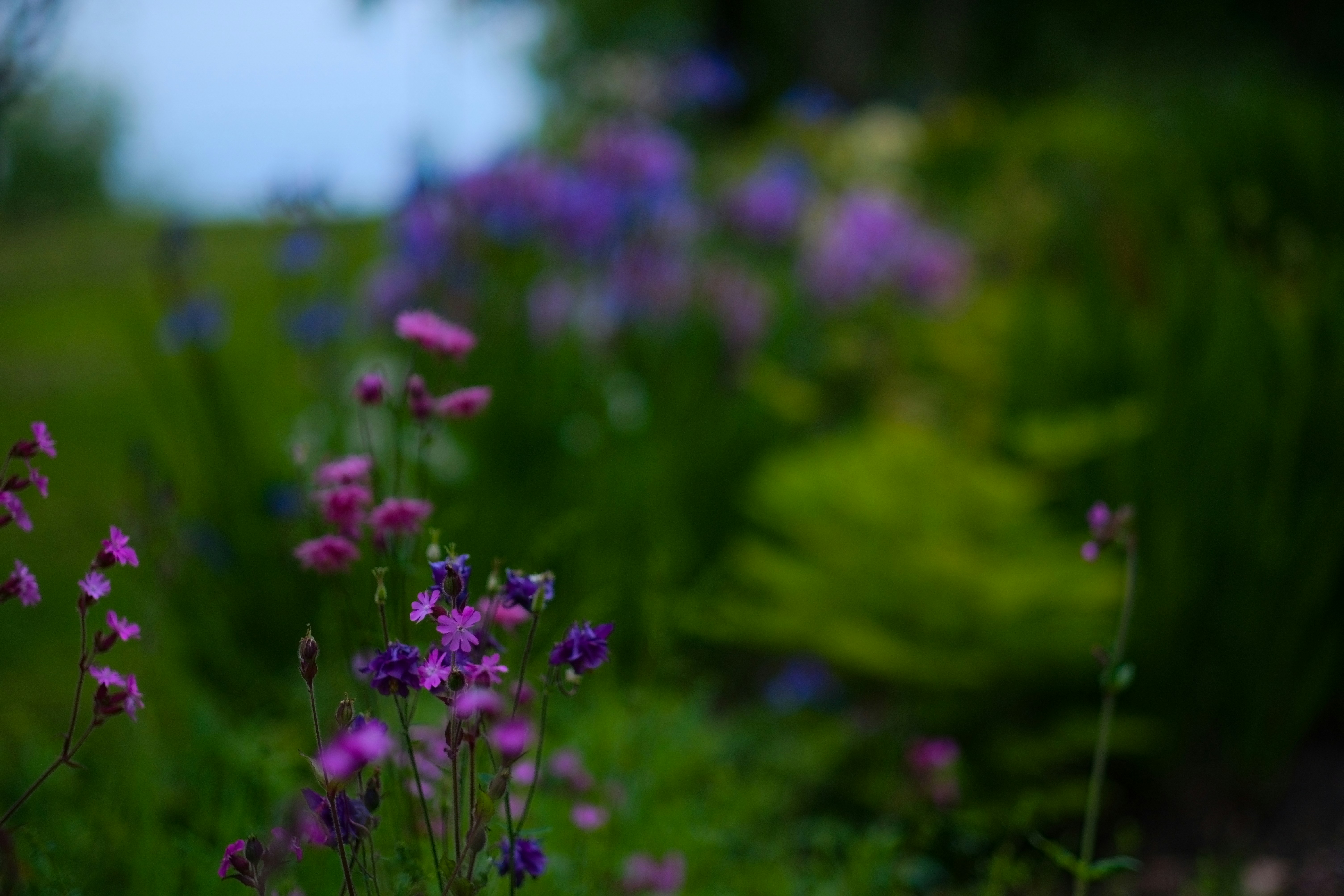 Photo by zaralazarov